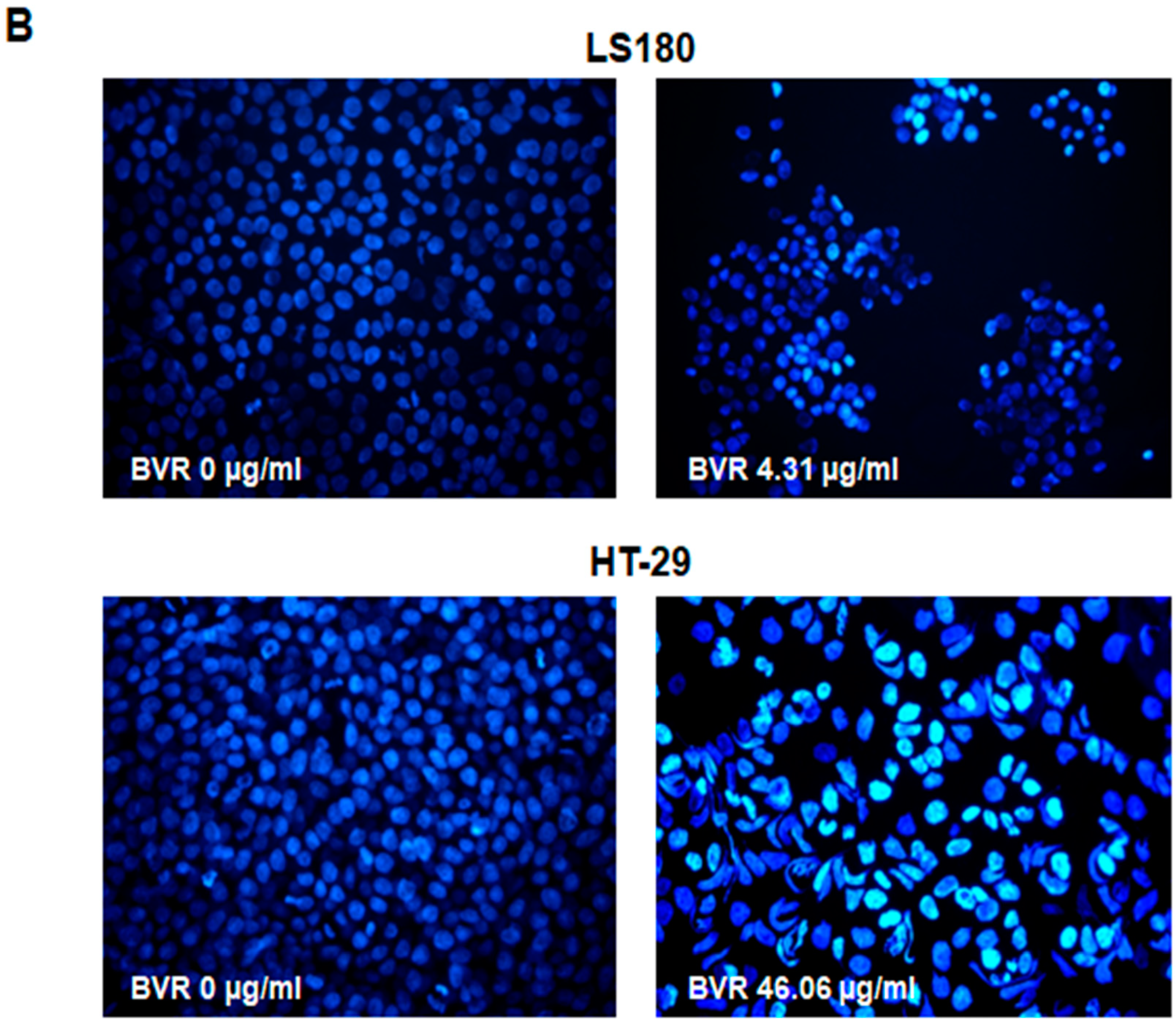 Ijms 25 04786 g002b Ijms 25 04786 g002b