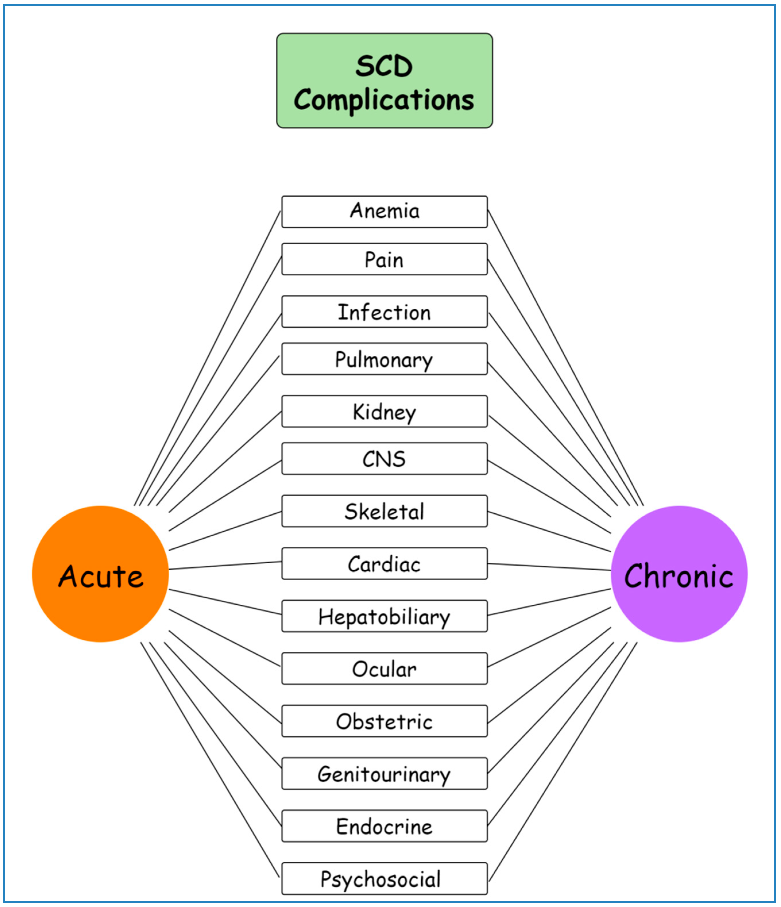 Ijms 25 04792 g001 Ijms 25 04792 g001
