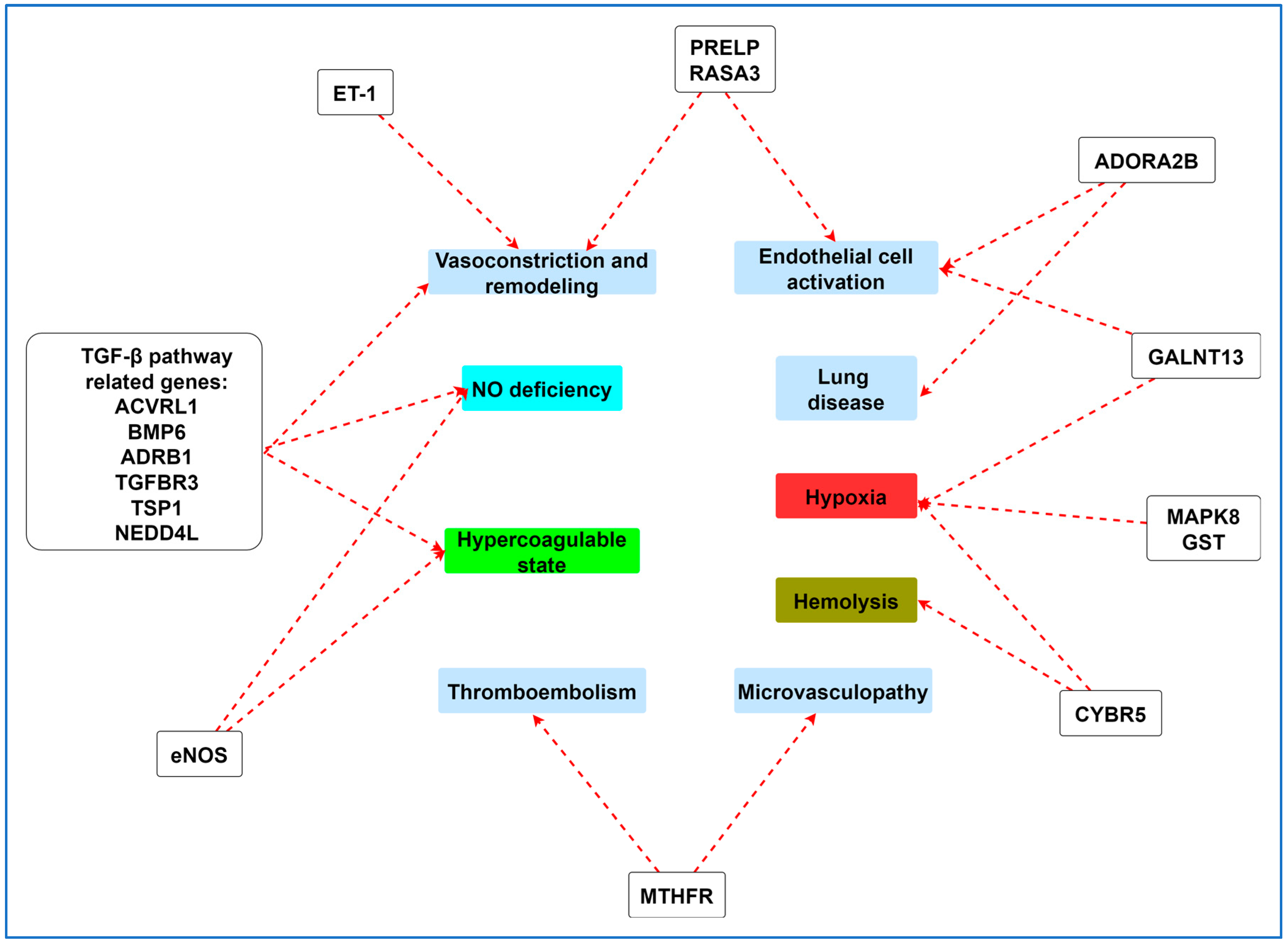 Ijms 25 04792 g003 Ijms 25 04792 g003