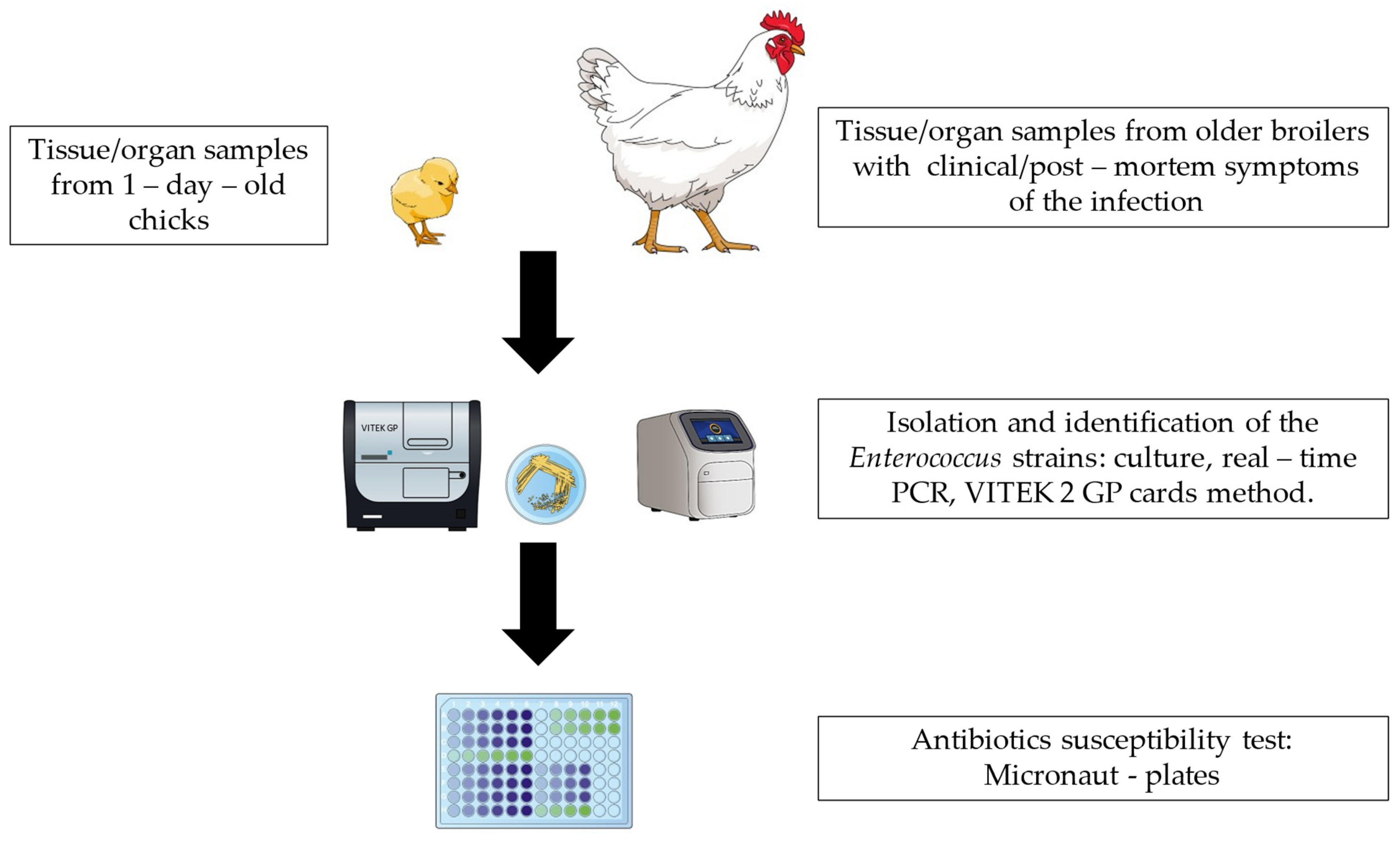 Ijms 25 04797 g005 Ijms 25 04797 g005