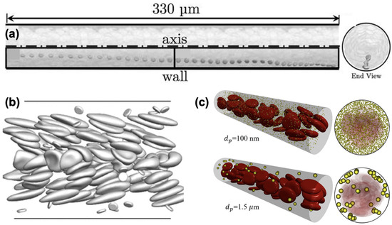 Platelet Biorheology and Mechanobiology in Thrombosis and 