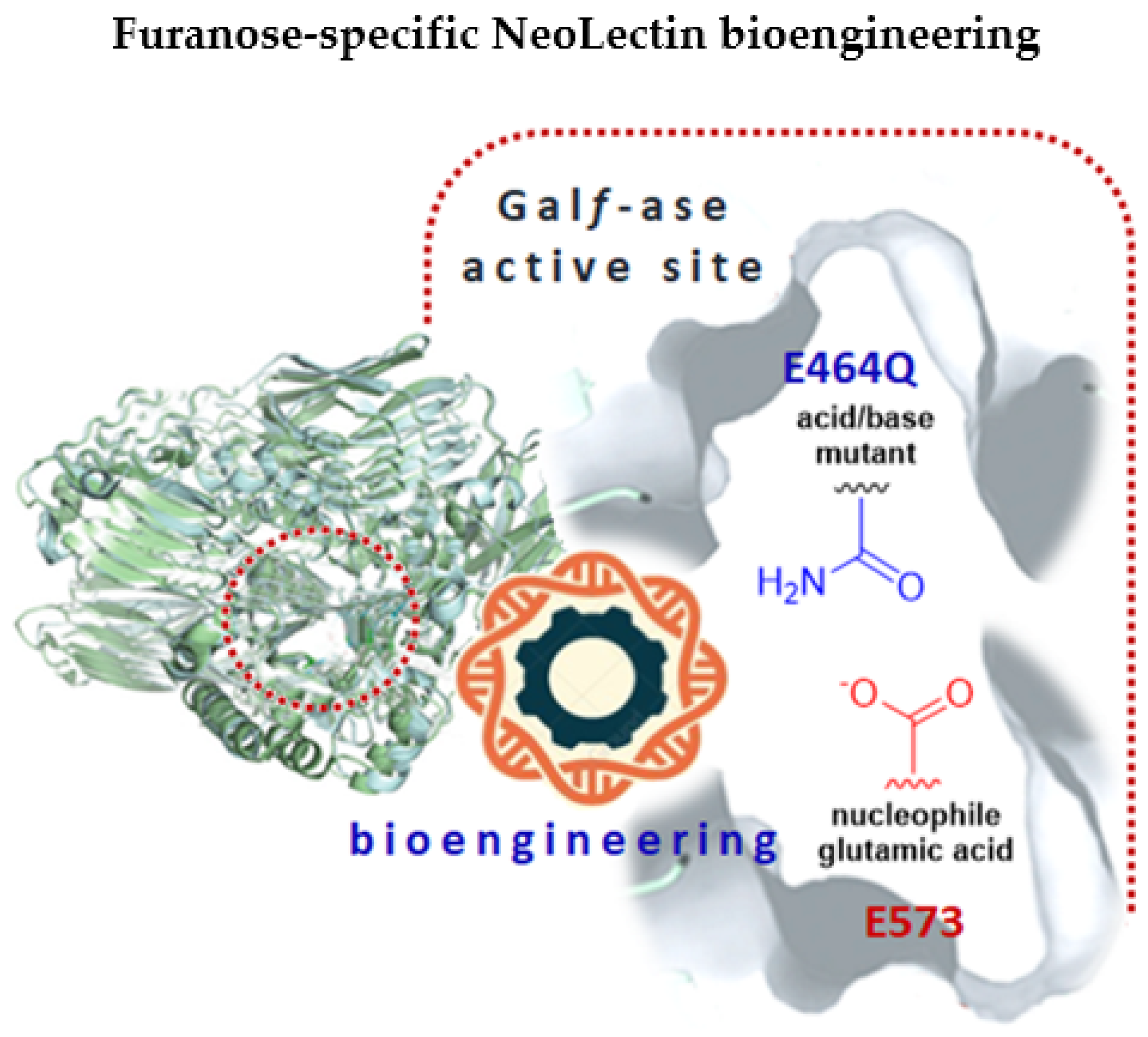 Ijms 25 04826 g001 Ijms 25 04826 g001