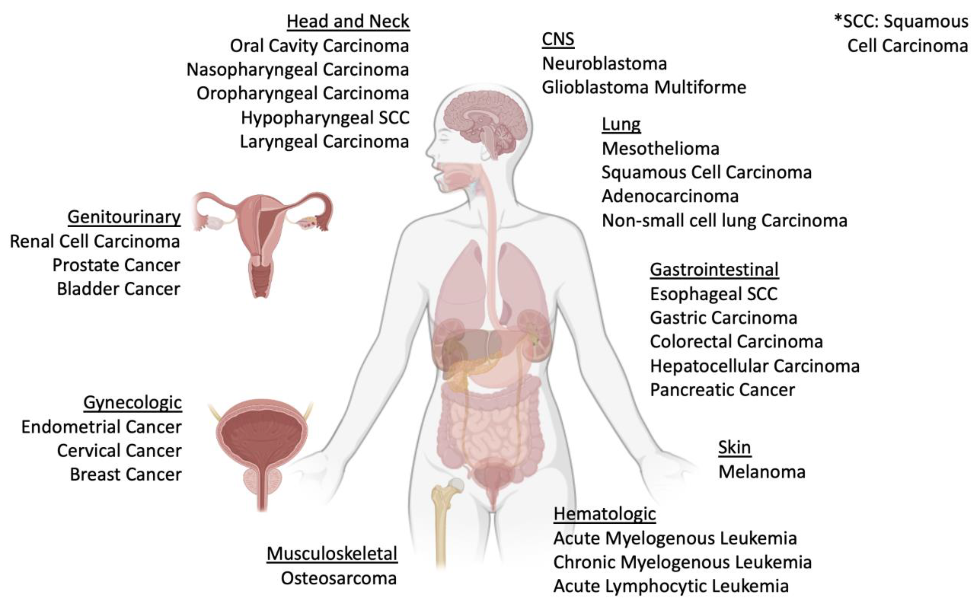 Ijms 25 04849 g002 Ijms 25 04849 g002