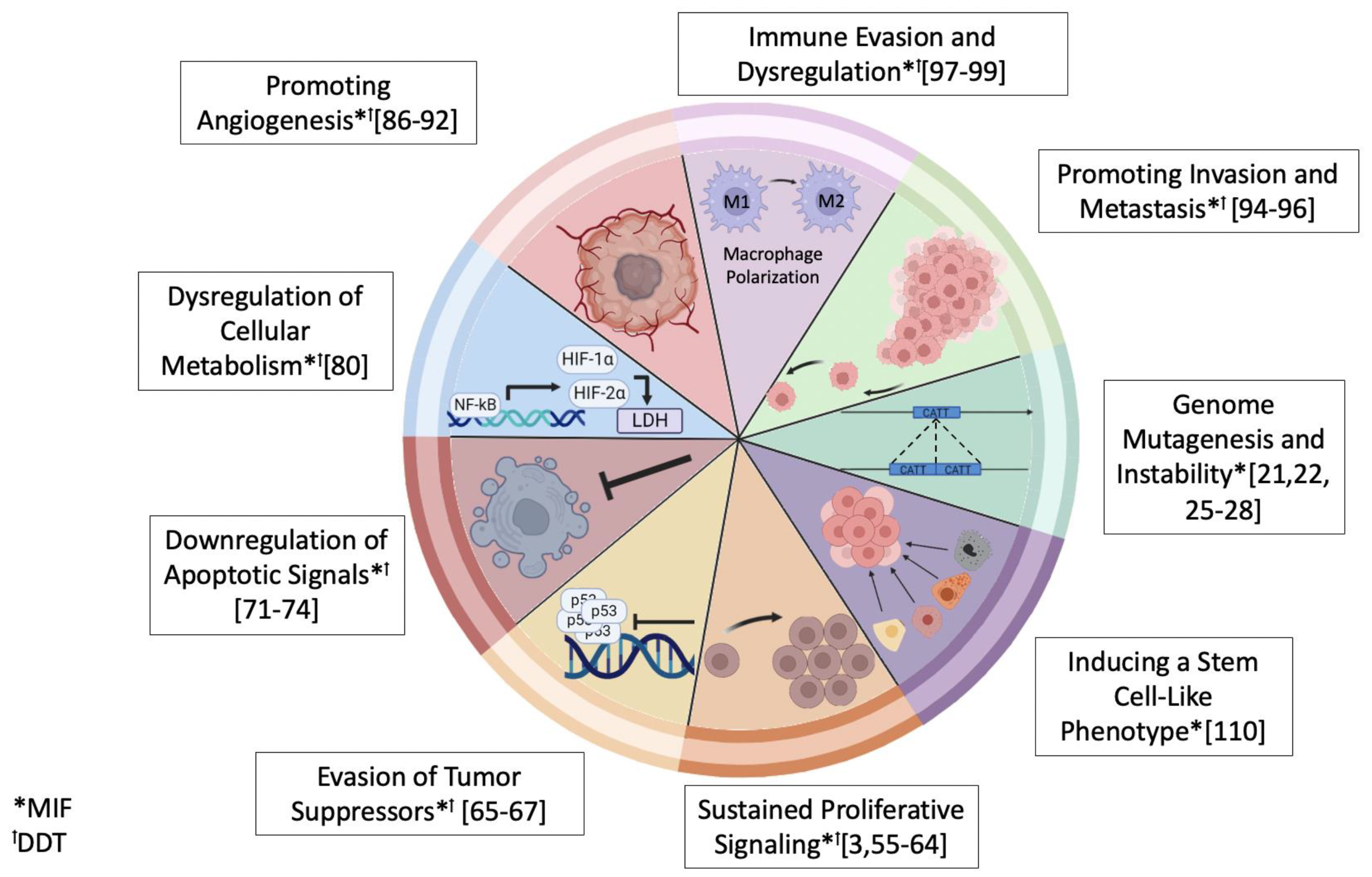 Ijms 25 04849 g003 Ijms 25 04849 g003