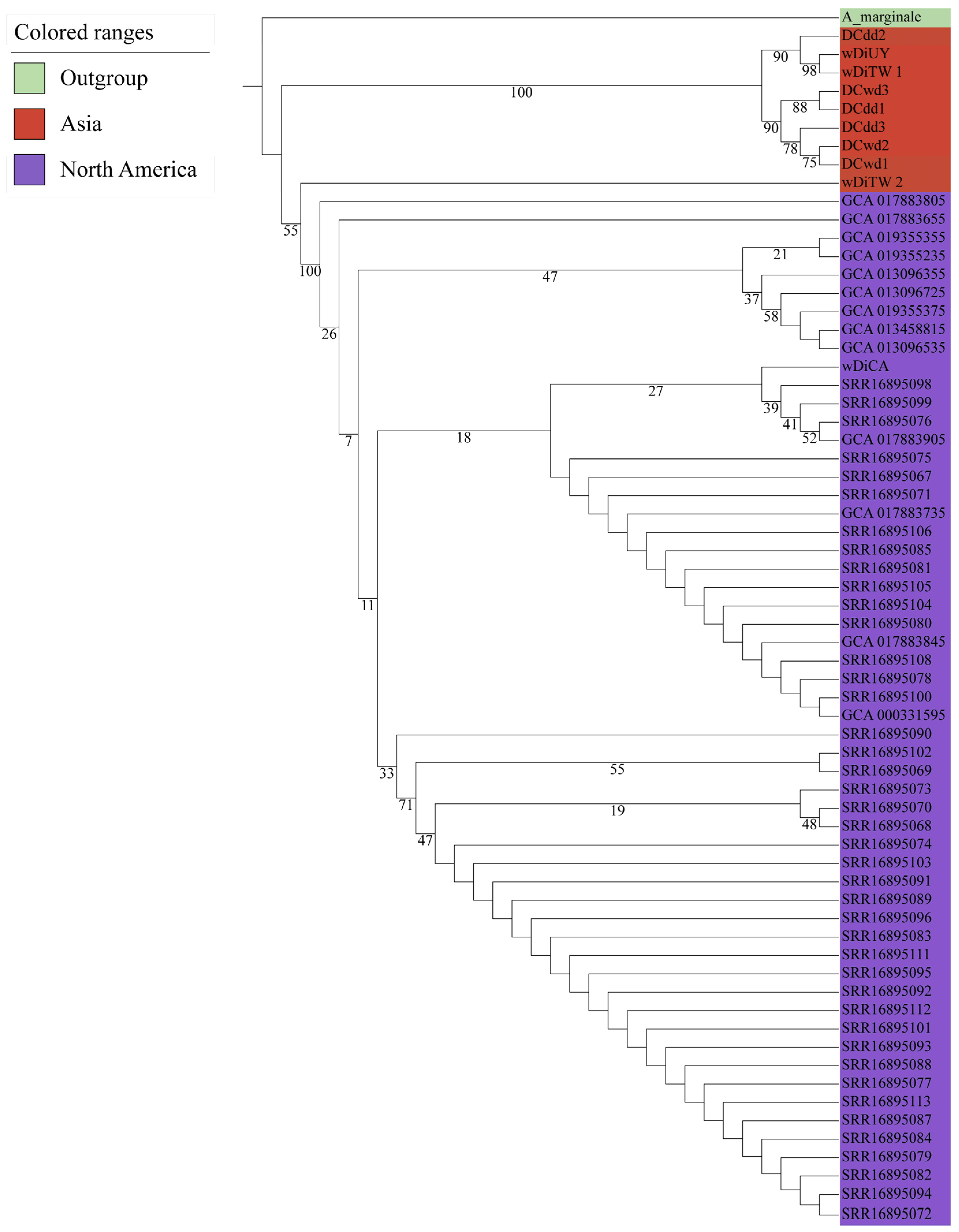 Ijms 25 04851 g003 Ijms 25 04851 g003