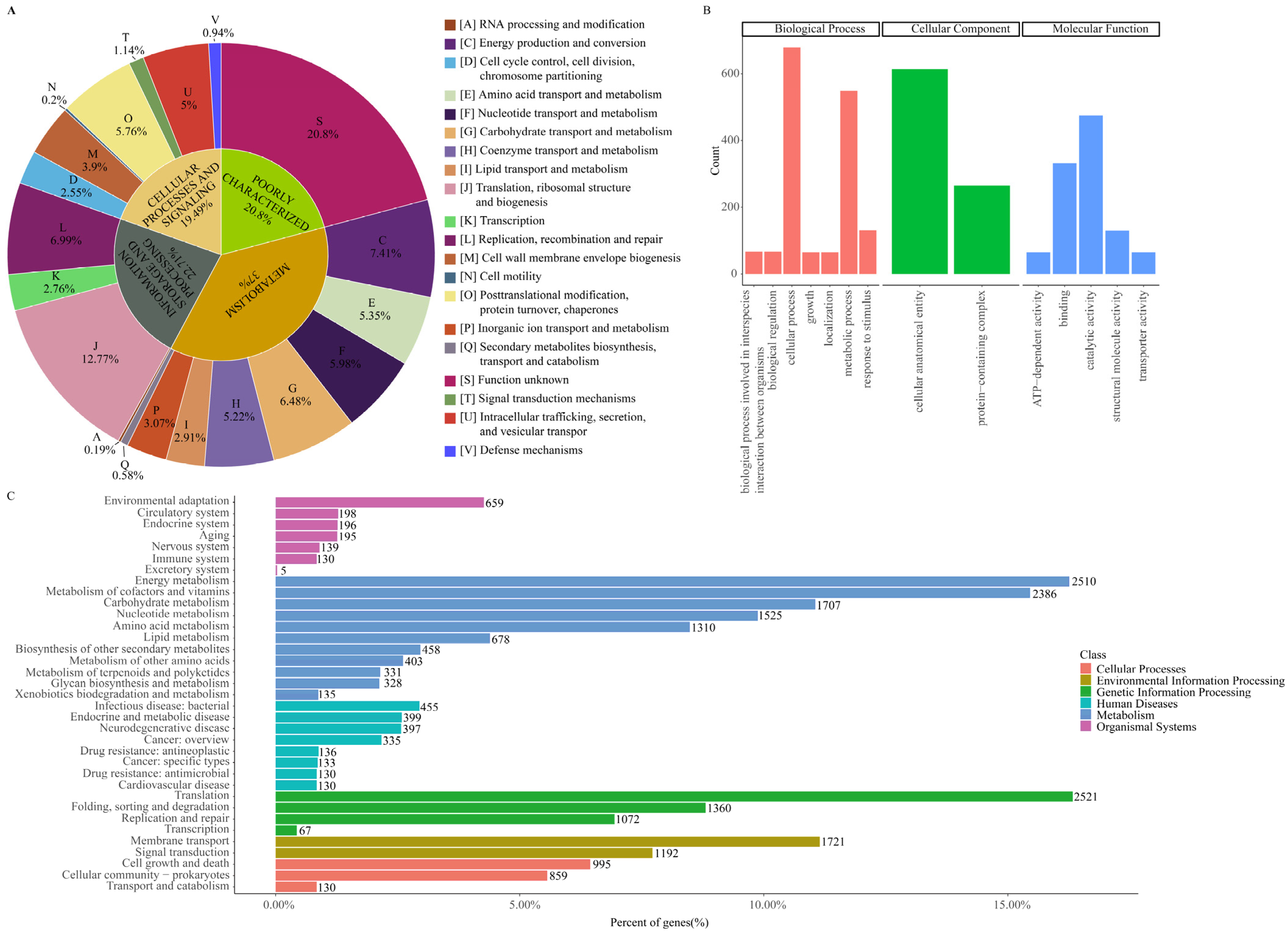 Ijms 25 04851 g005 Ijms 25 04851 g005