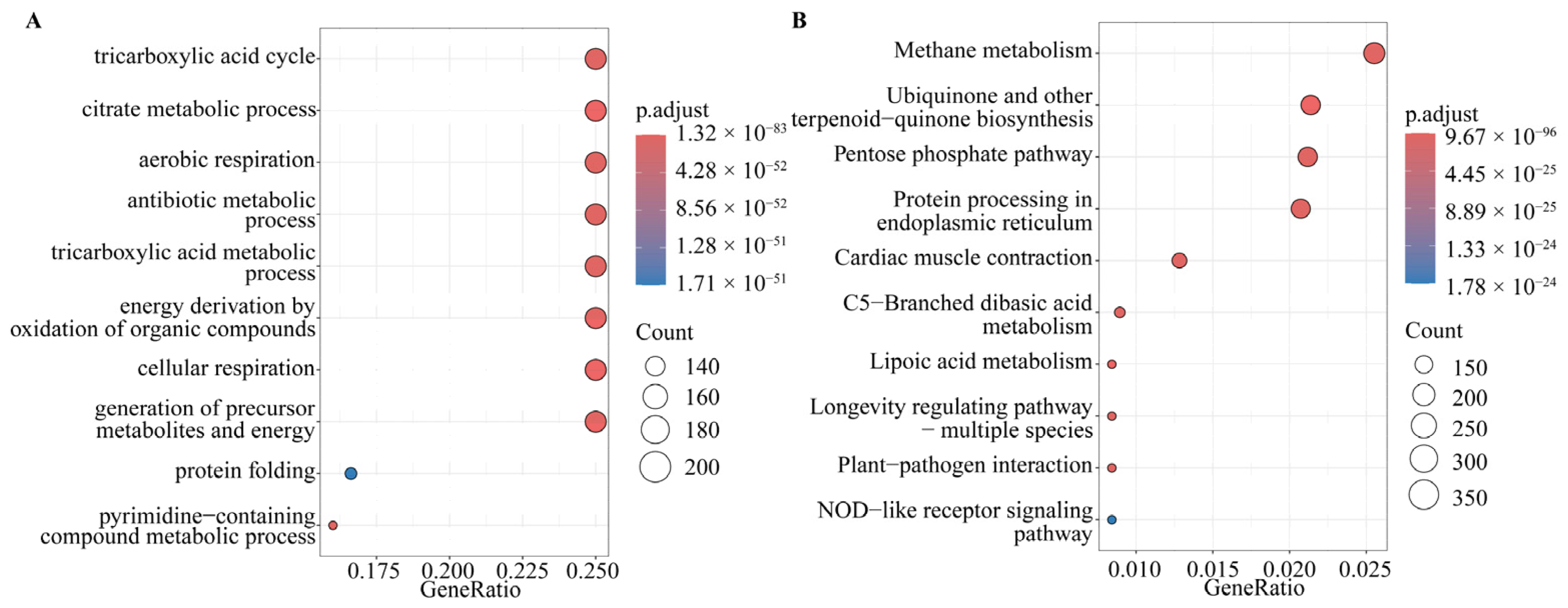 Ijms 25 04851 g006 Ijms 25 04851 g006