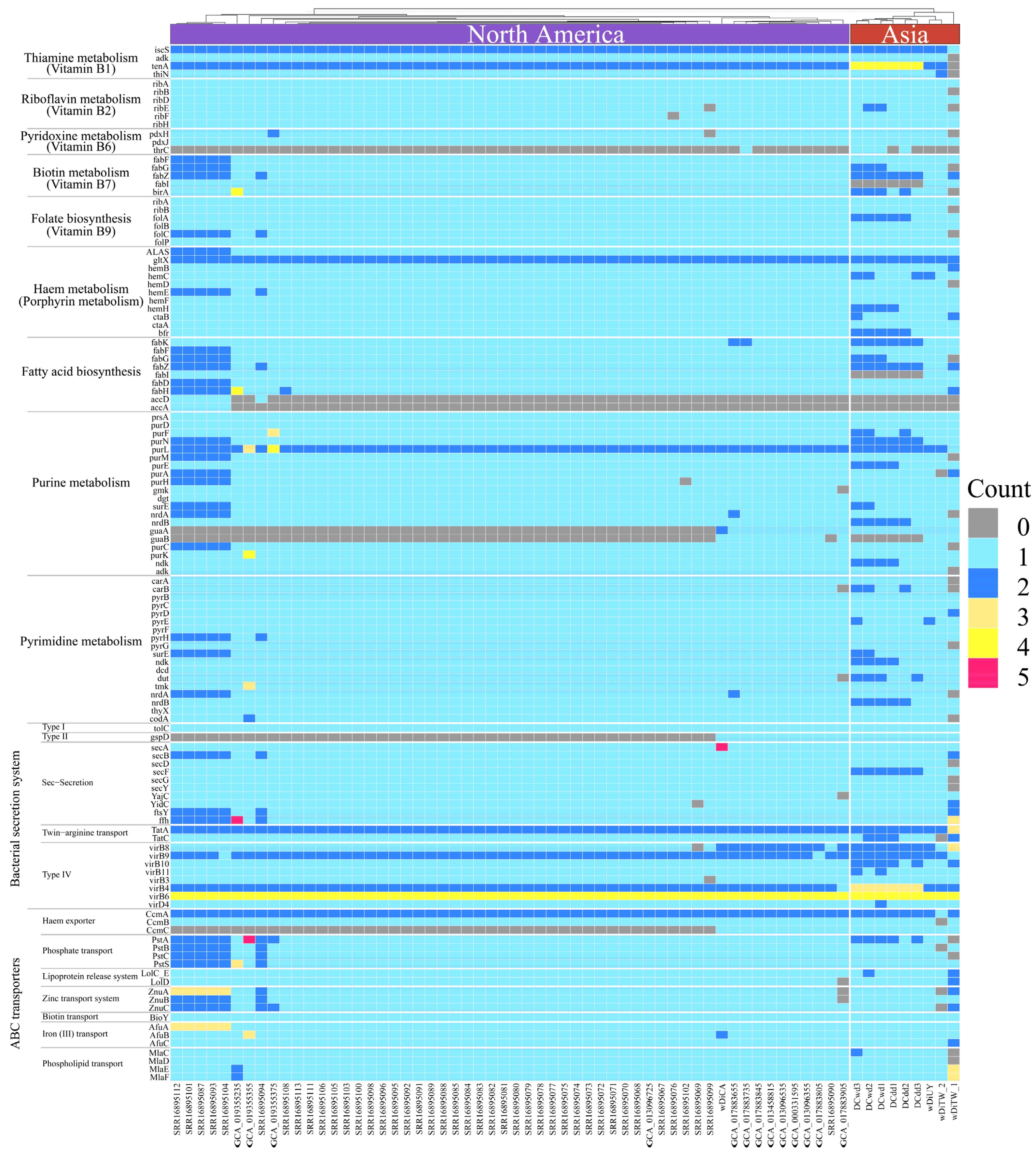 Ijms 25 04851 g007 Ijms 25 04851 g007