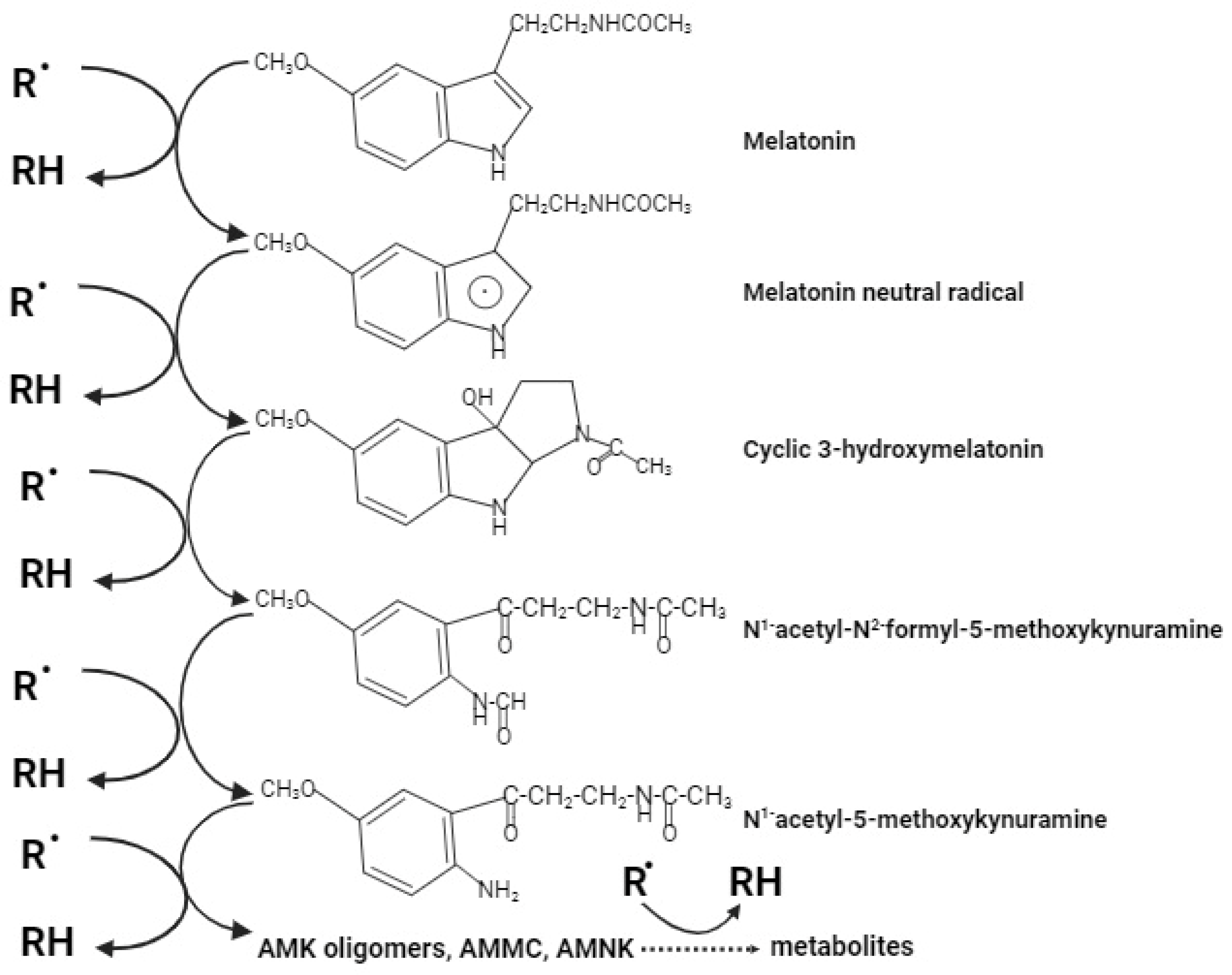 Ijms 25 04858 g002 Ijms 25 04858 g002