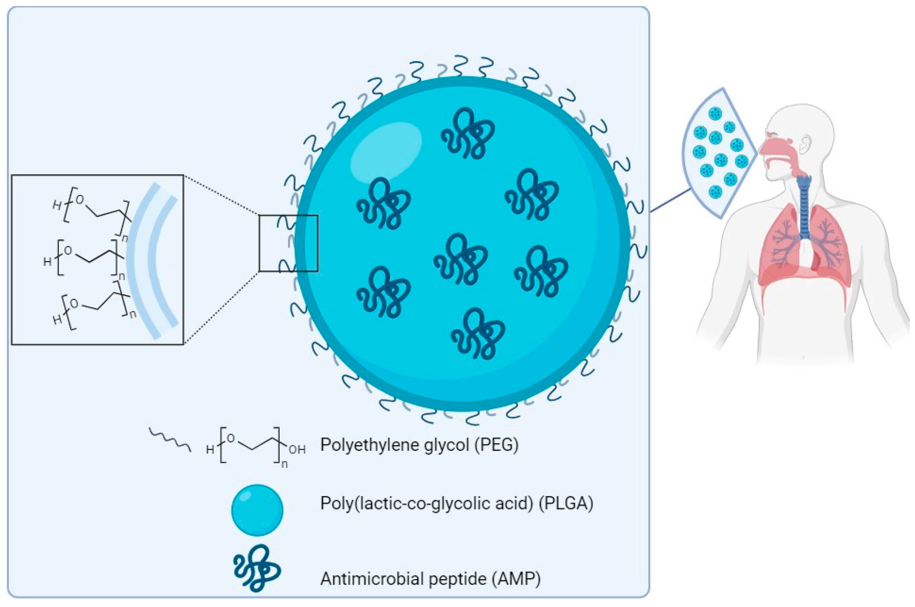 Ijms 25 04870 g005 Ijms 25 04870 g005