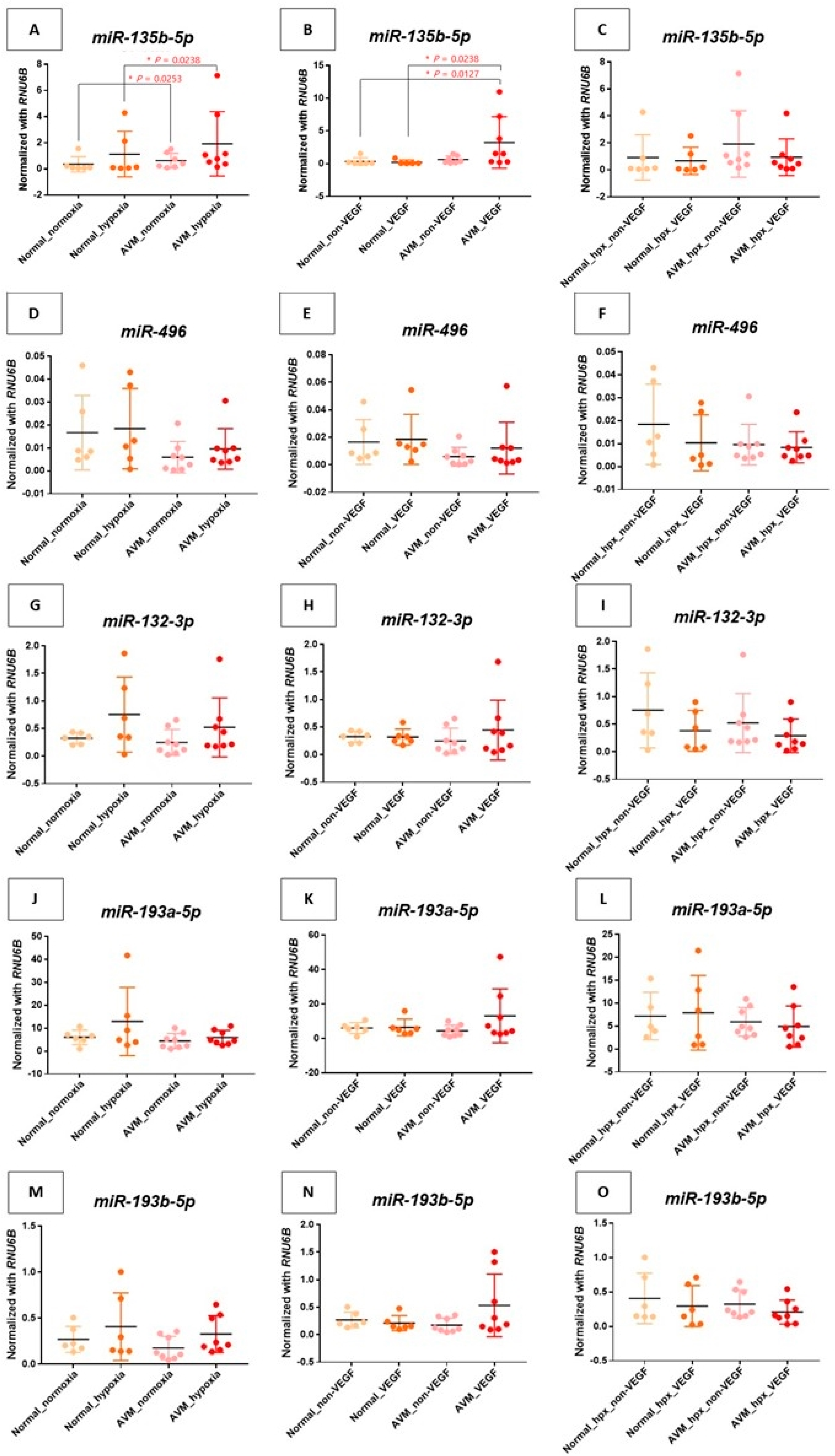 Ijms 25 04888 g002 Ijms 25 04888 g002