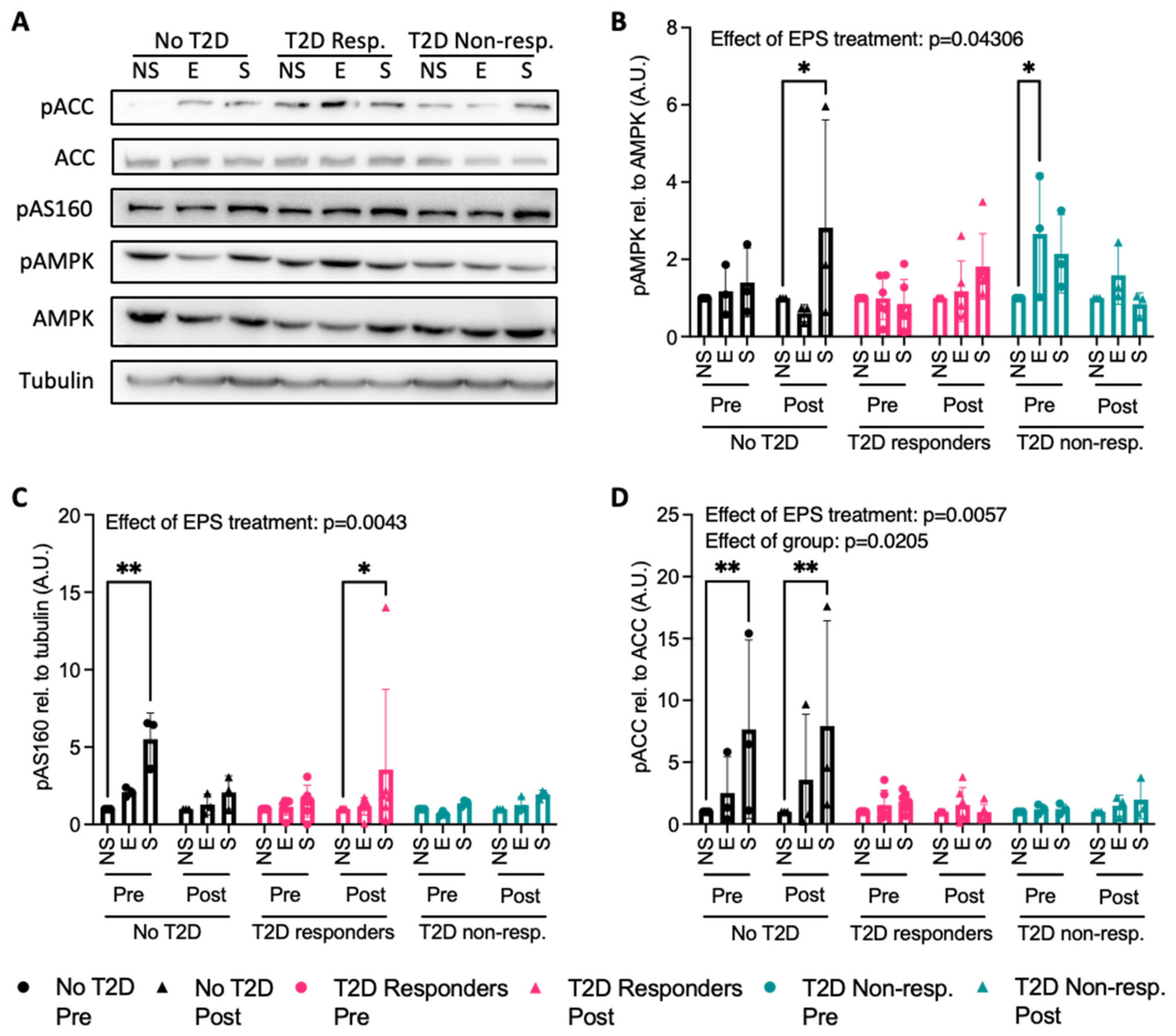 Ijms 25 04889 g004 Ijms 25 04889 g004