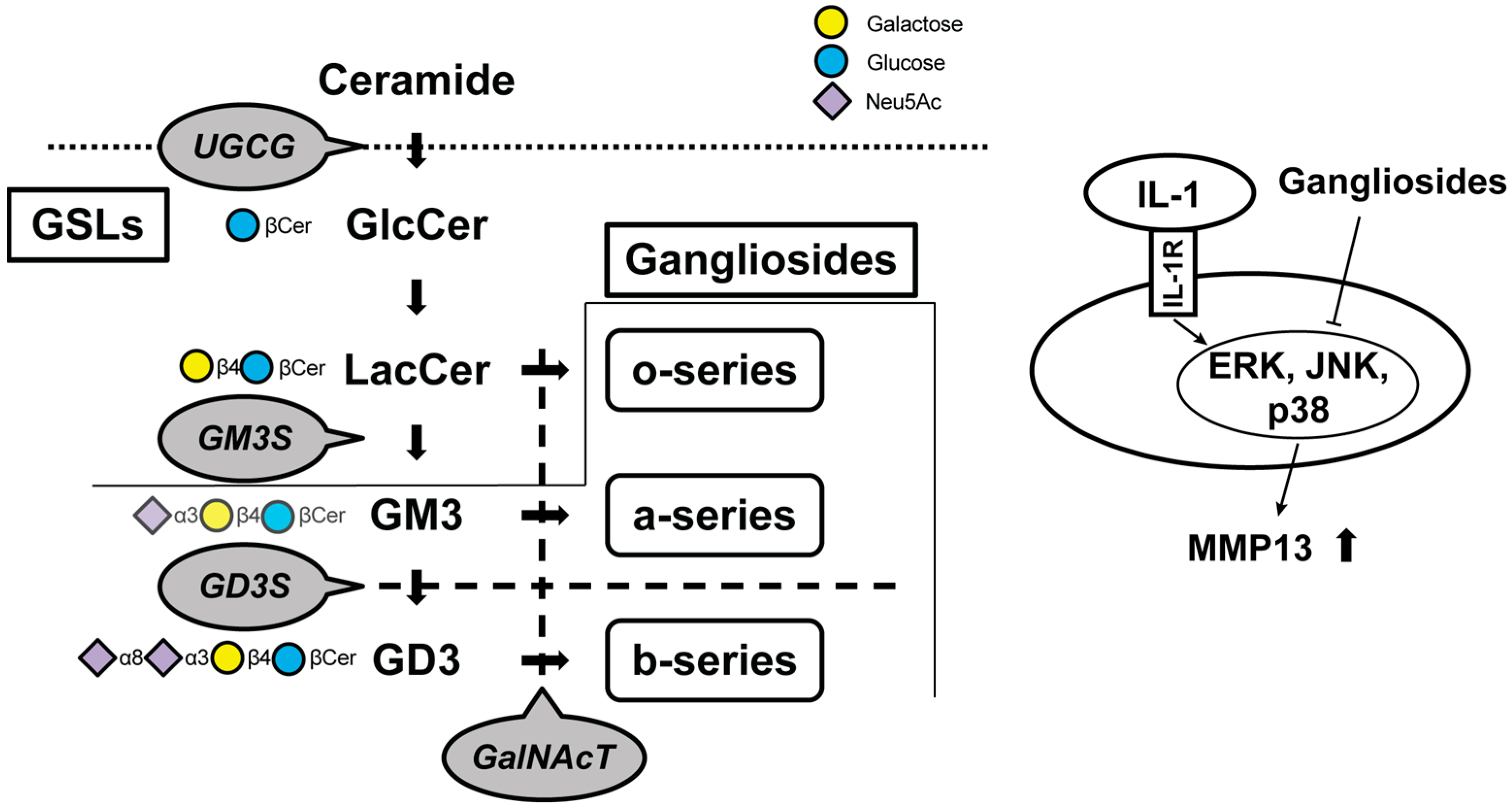 Ijms 25 04890 g002 Ijms 25 04890 g002