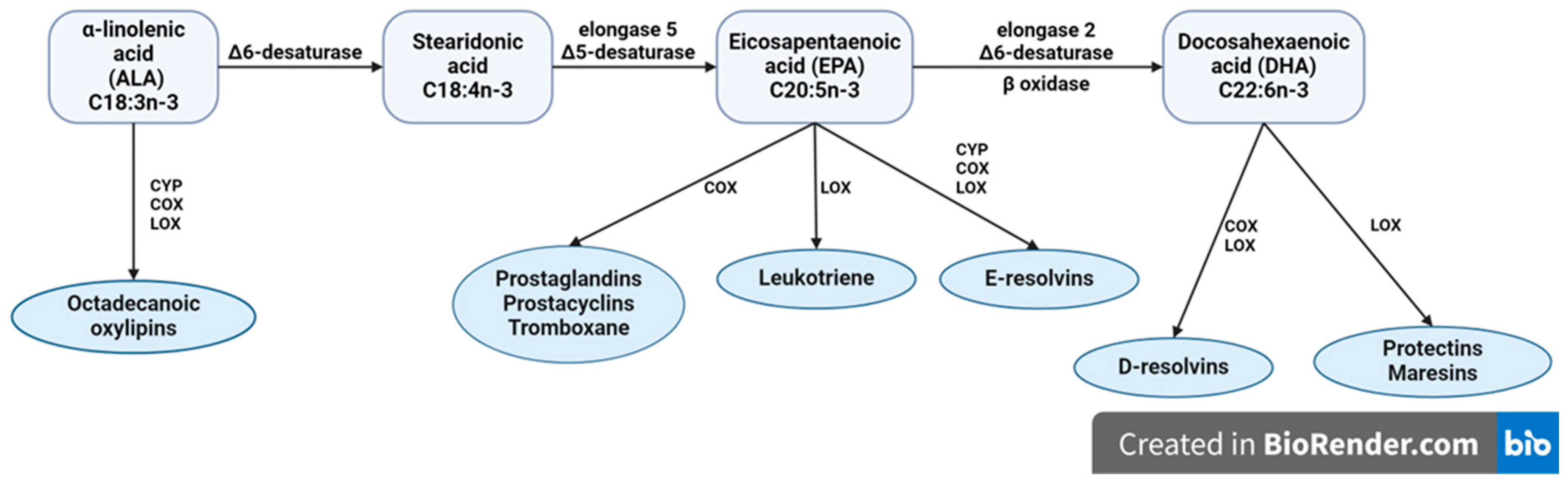 Ijms 25 04909 g002 Ijms 25 04909 g002