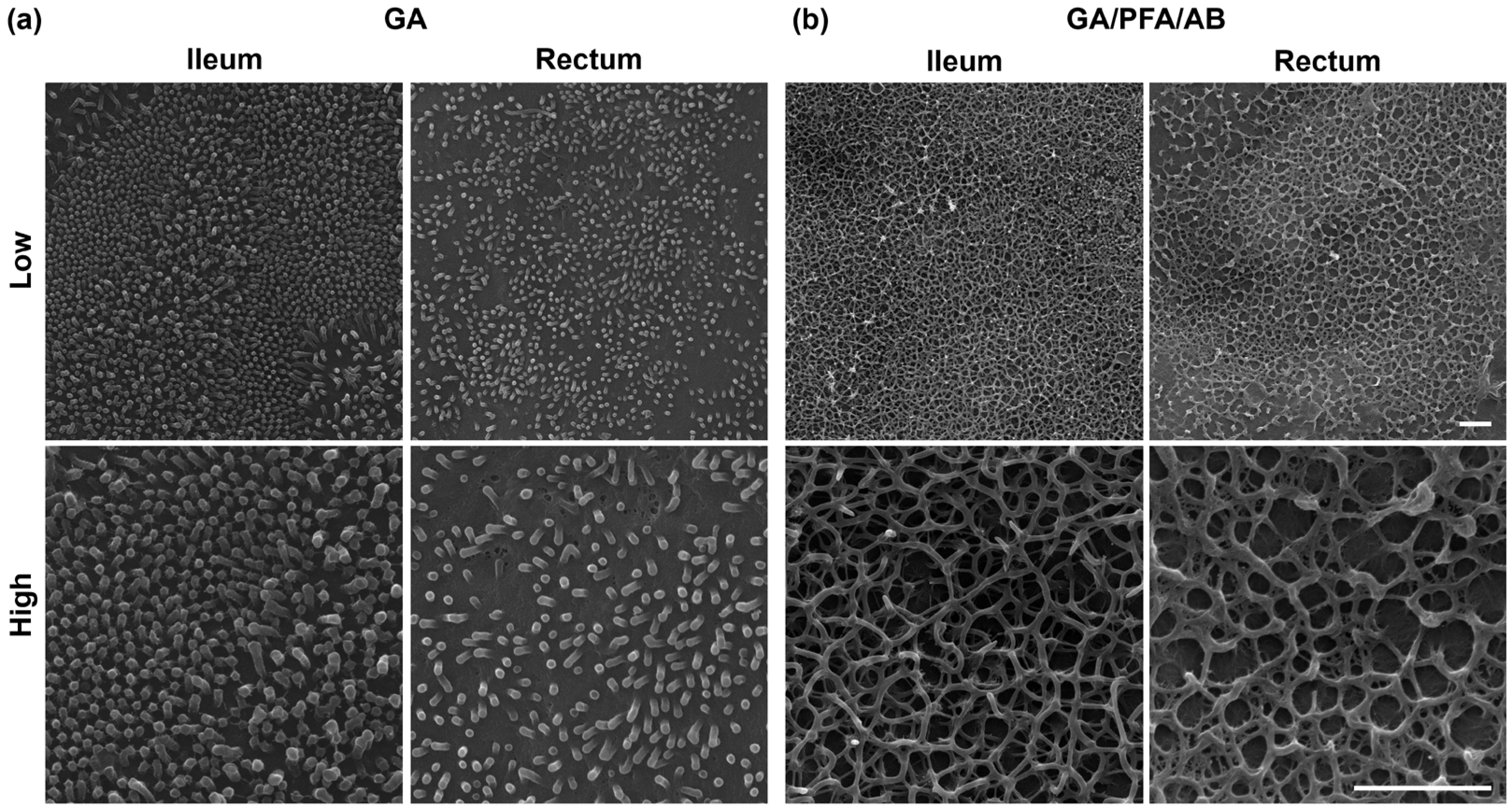 Ijms 25 04914 g004 Ijms 25 04914 g004