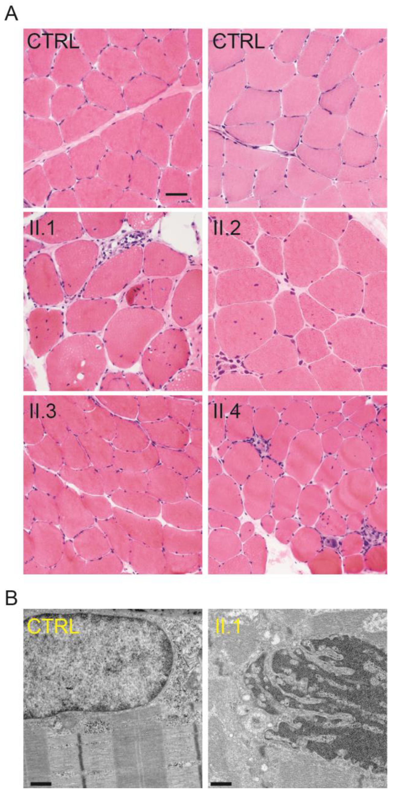 Ijms 25 04930 g003 Ijms 25 04930 g003