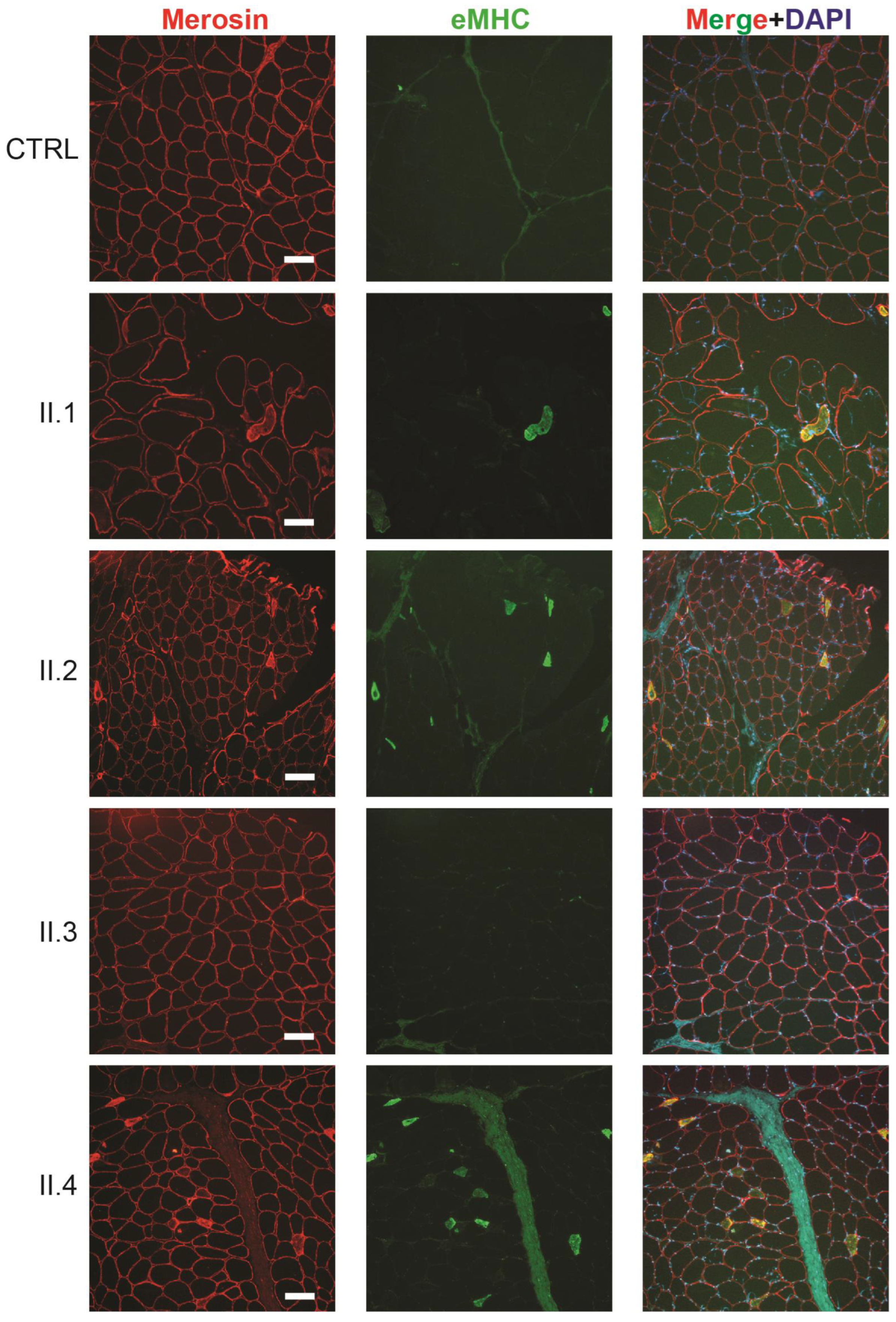 Ijms 25 04930 g004 Ijms 25 04930 g004