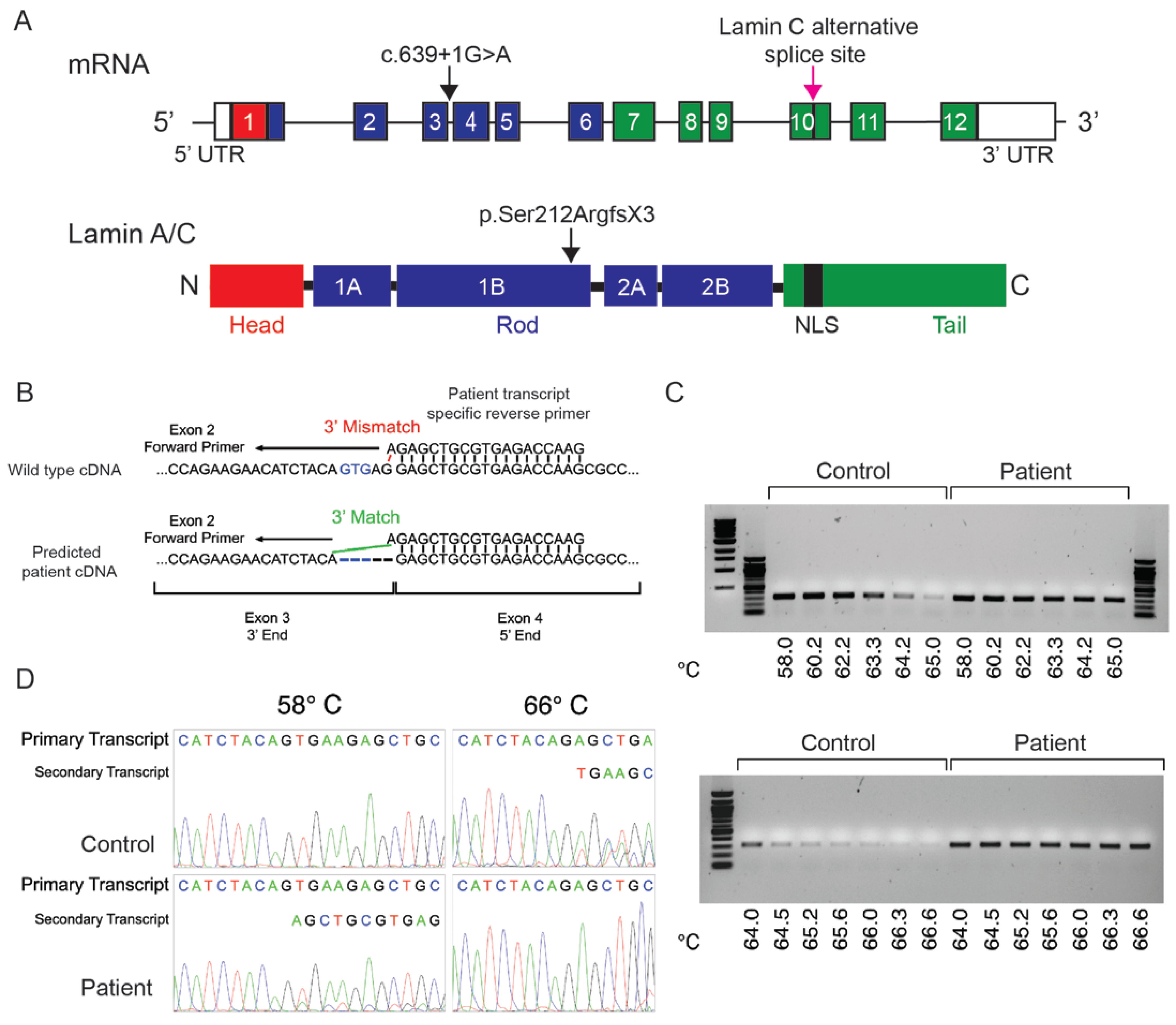 Ijms 25 04930 g005 Ijms 25 04930 g005