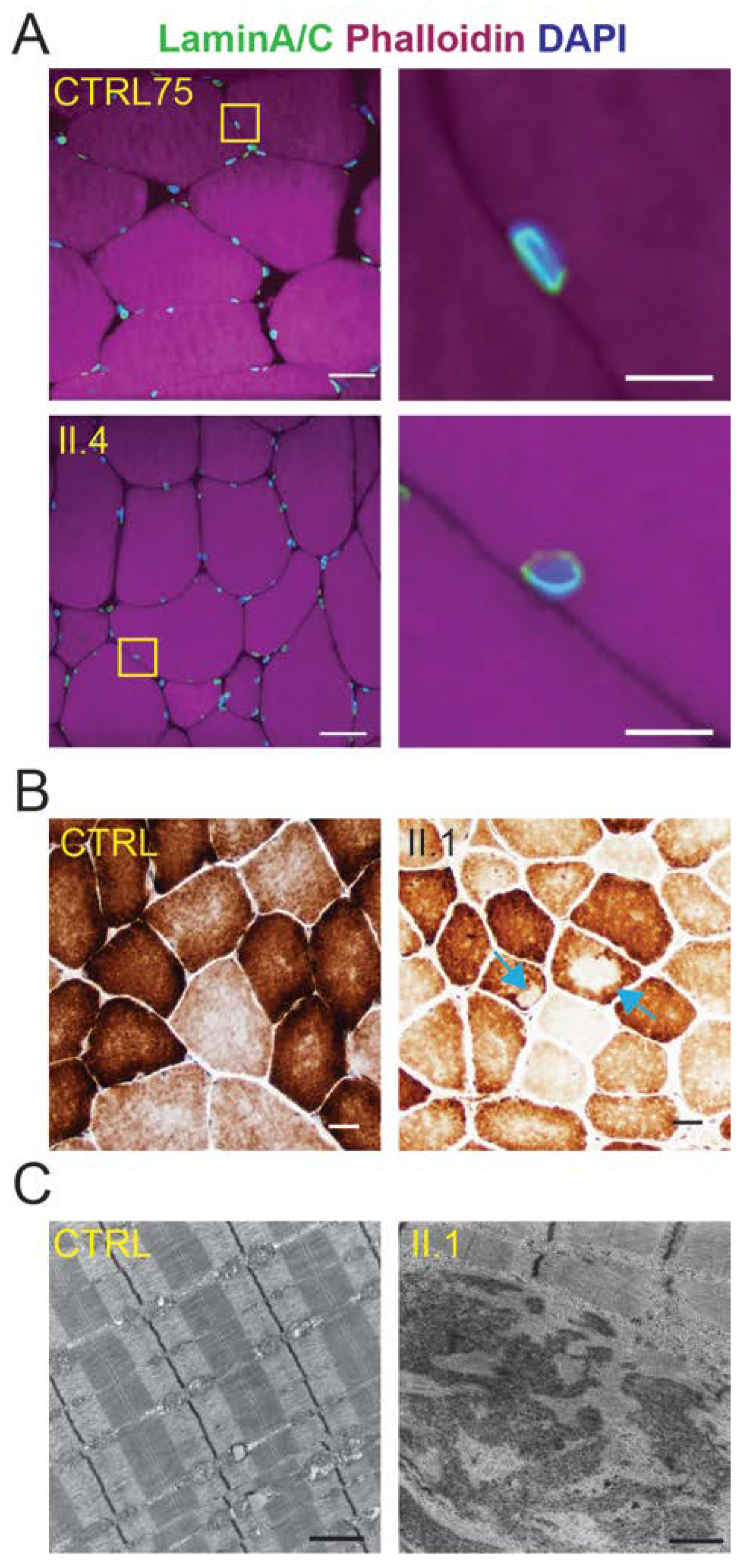 Ijms 25 04930 g006 Ijms 25 04930 g006