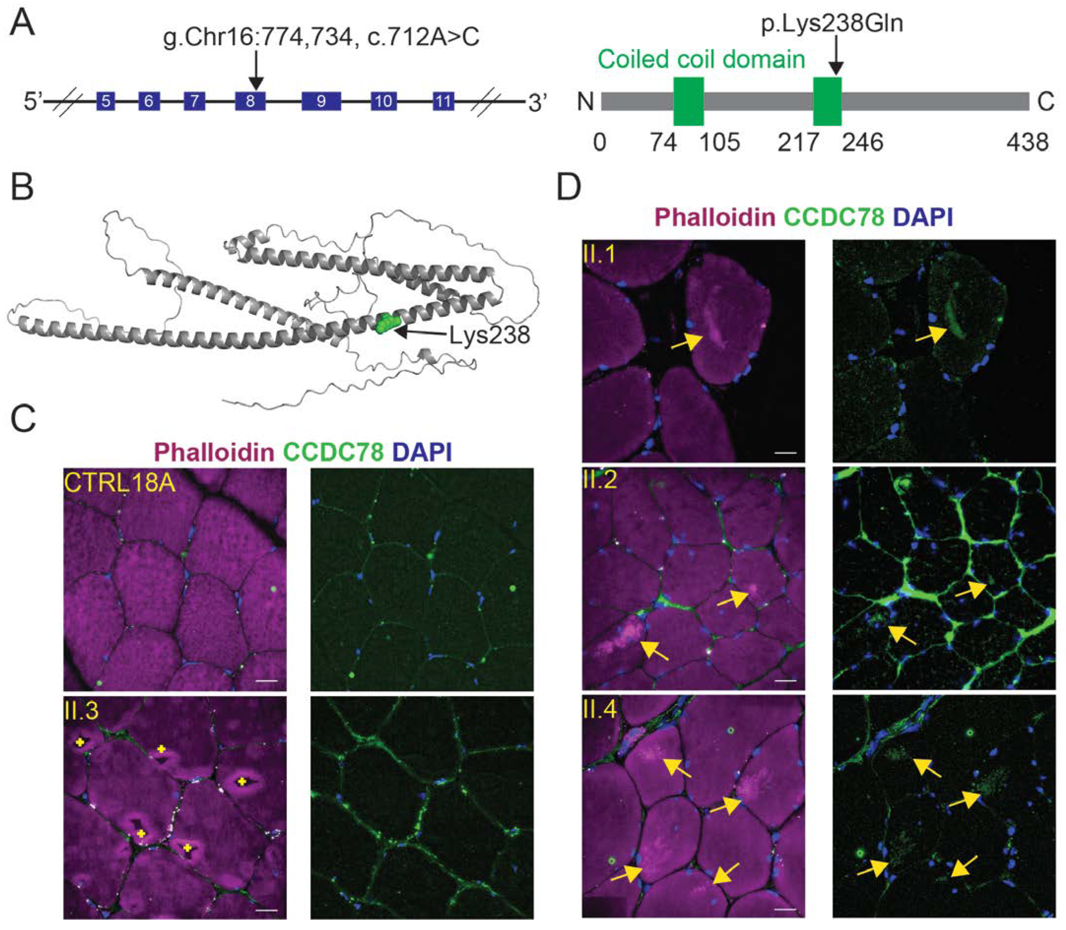 Ijms 25 04930 g007 Ijms 25 04930 g007
