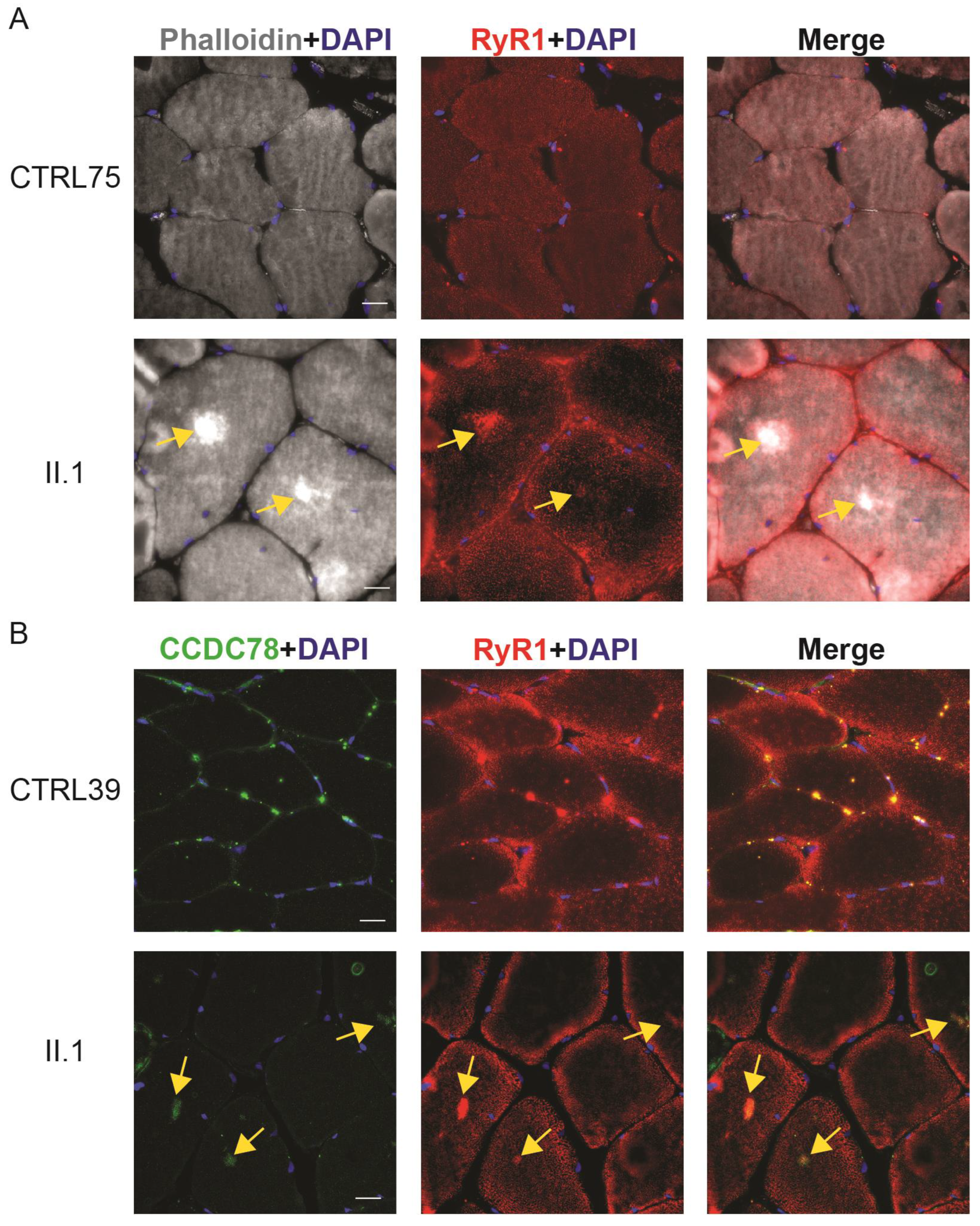 Ijms 25 04930 g008 Ijms 25 04930 g008
