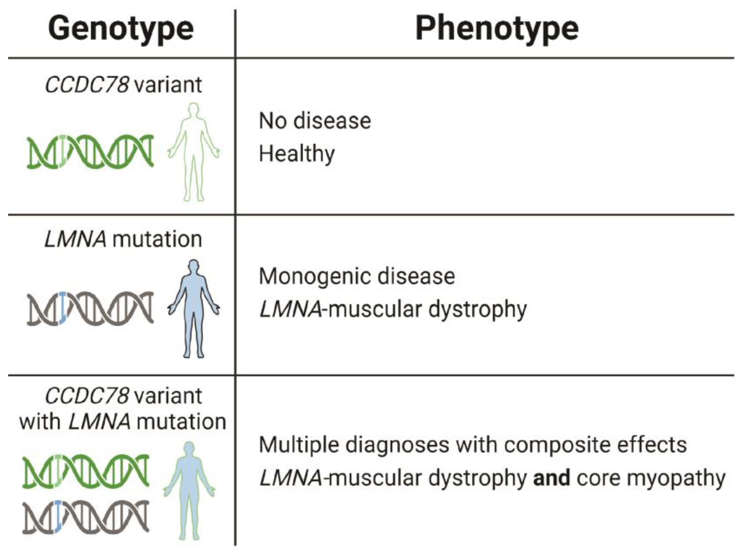 Ijms 25 04930 g009 Ijms 25 04930 g009
