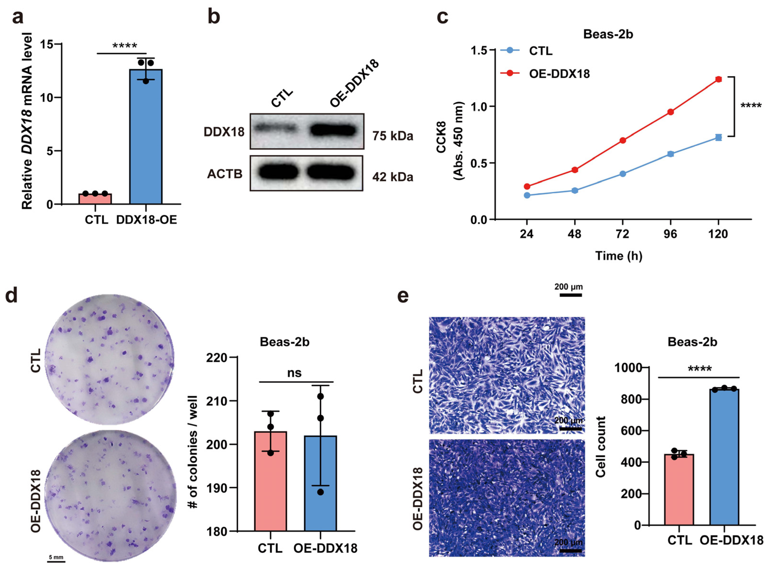 Ijms 25 04953 g003 Ijms 25 04953 g003
