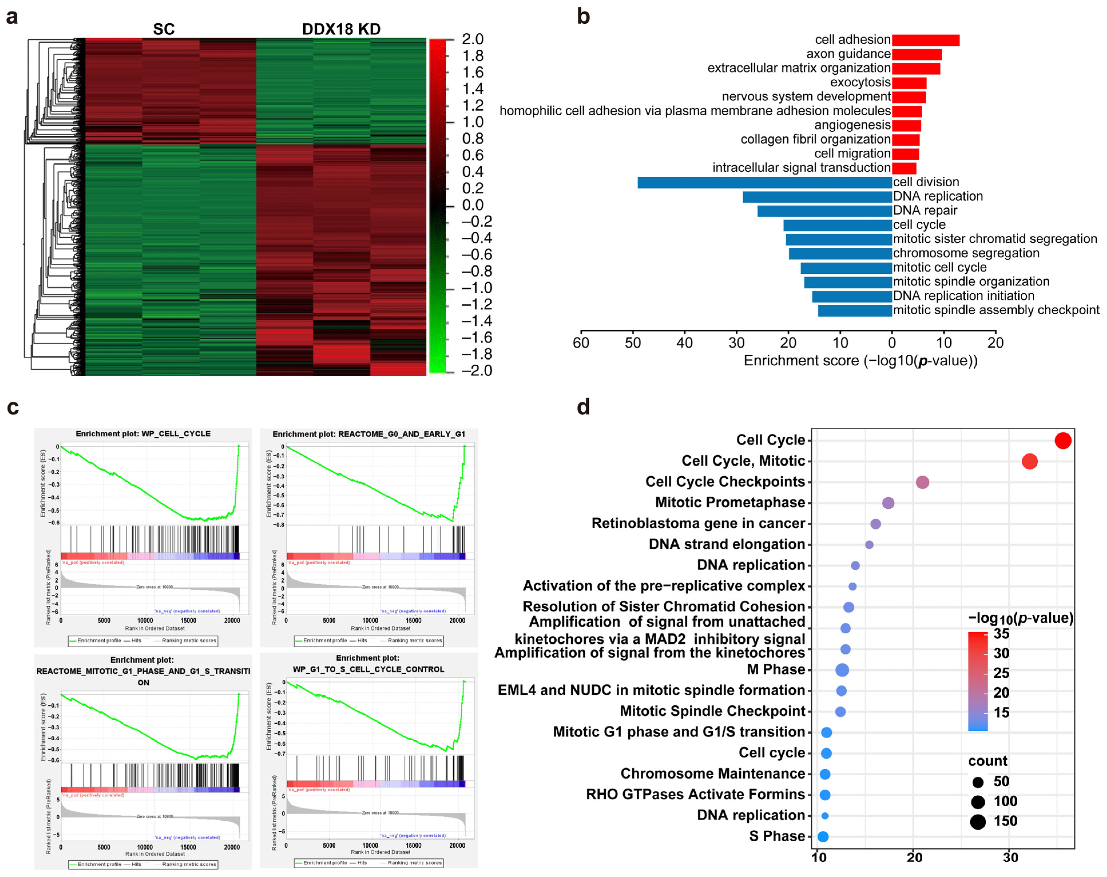 Ijms 25 04953 g005 Ijms 25 04953 g005
