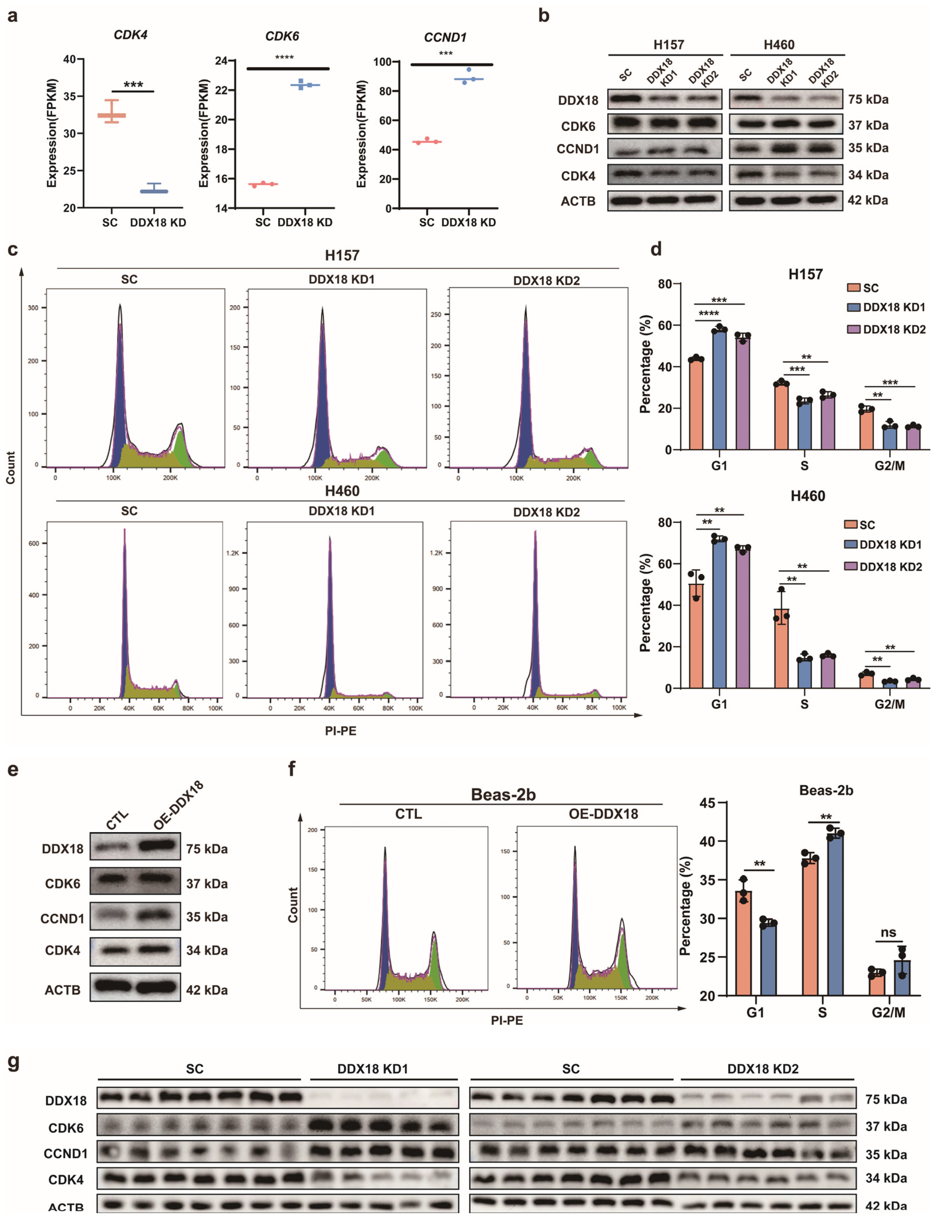 Ijms 25 04953 g006 Ijms 25 04953 g006