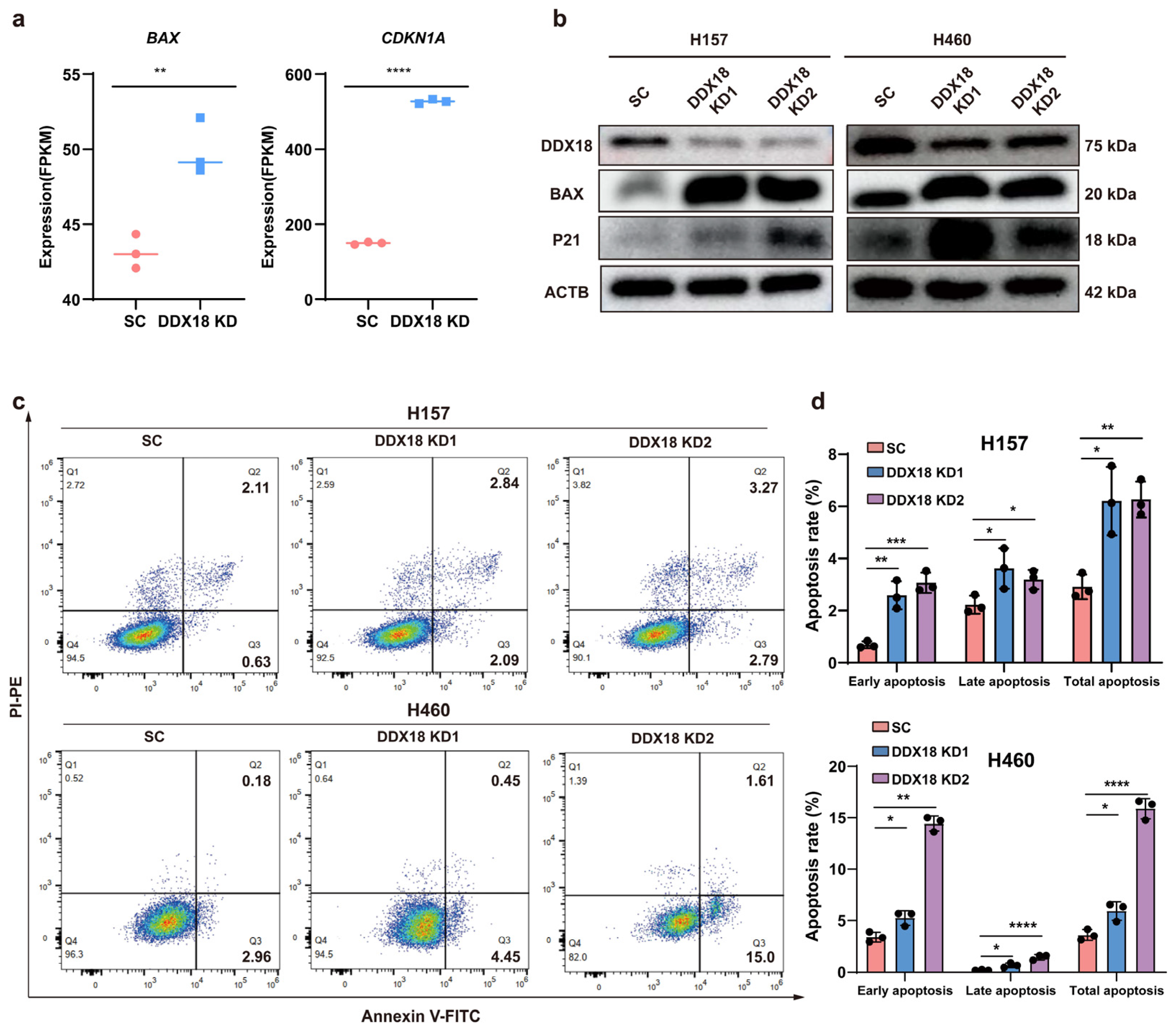 Ijms 25 04953 g007 Ijms 25 04953 g007