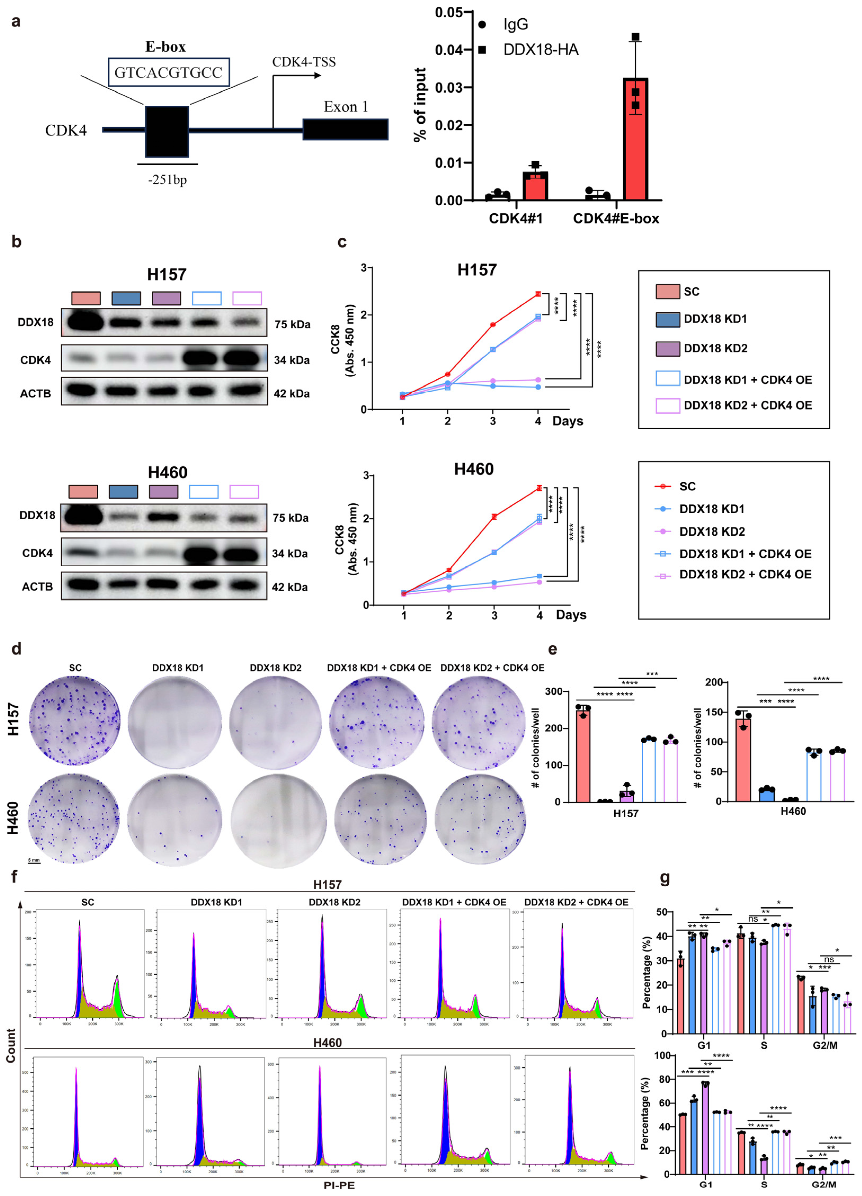 Ijms 25 04953 g008 Ijms 25 04953 g008