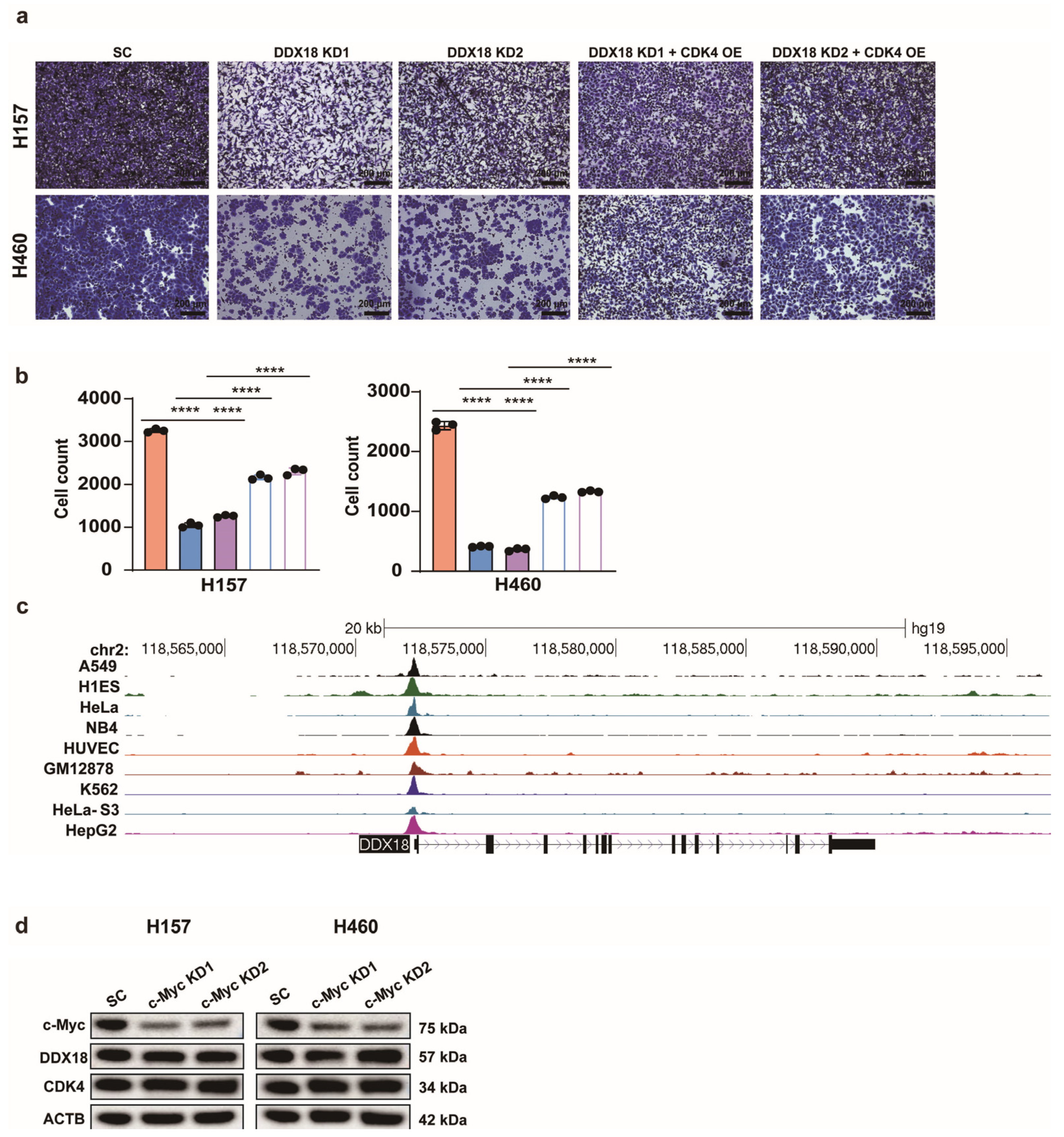 Ijms 25 04953 g009 Ijms 25 04953 g009
