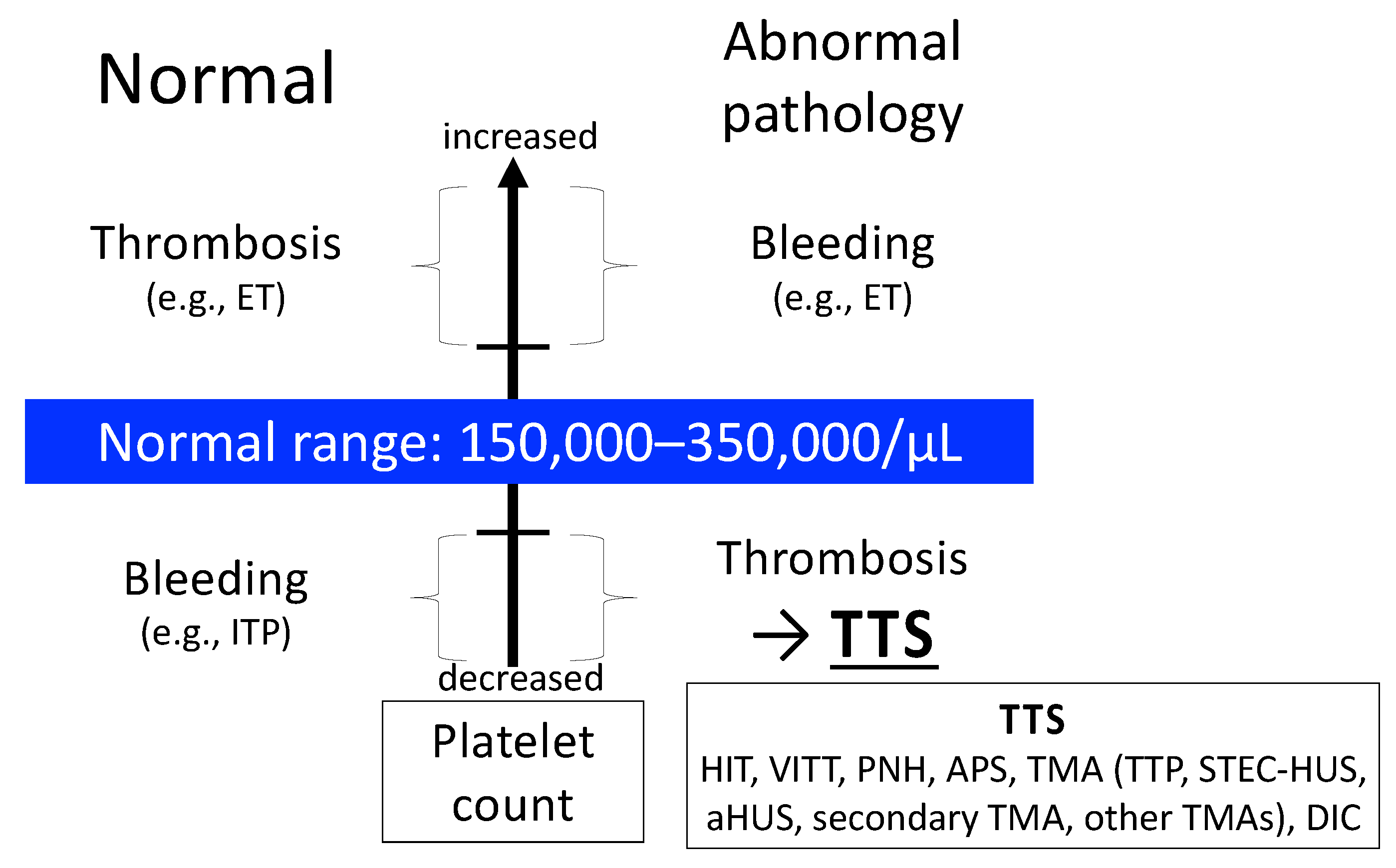 How We Interpret Thrombosis with Thrombocytopenia Syndrome?
