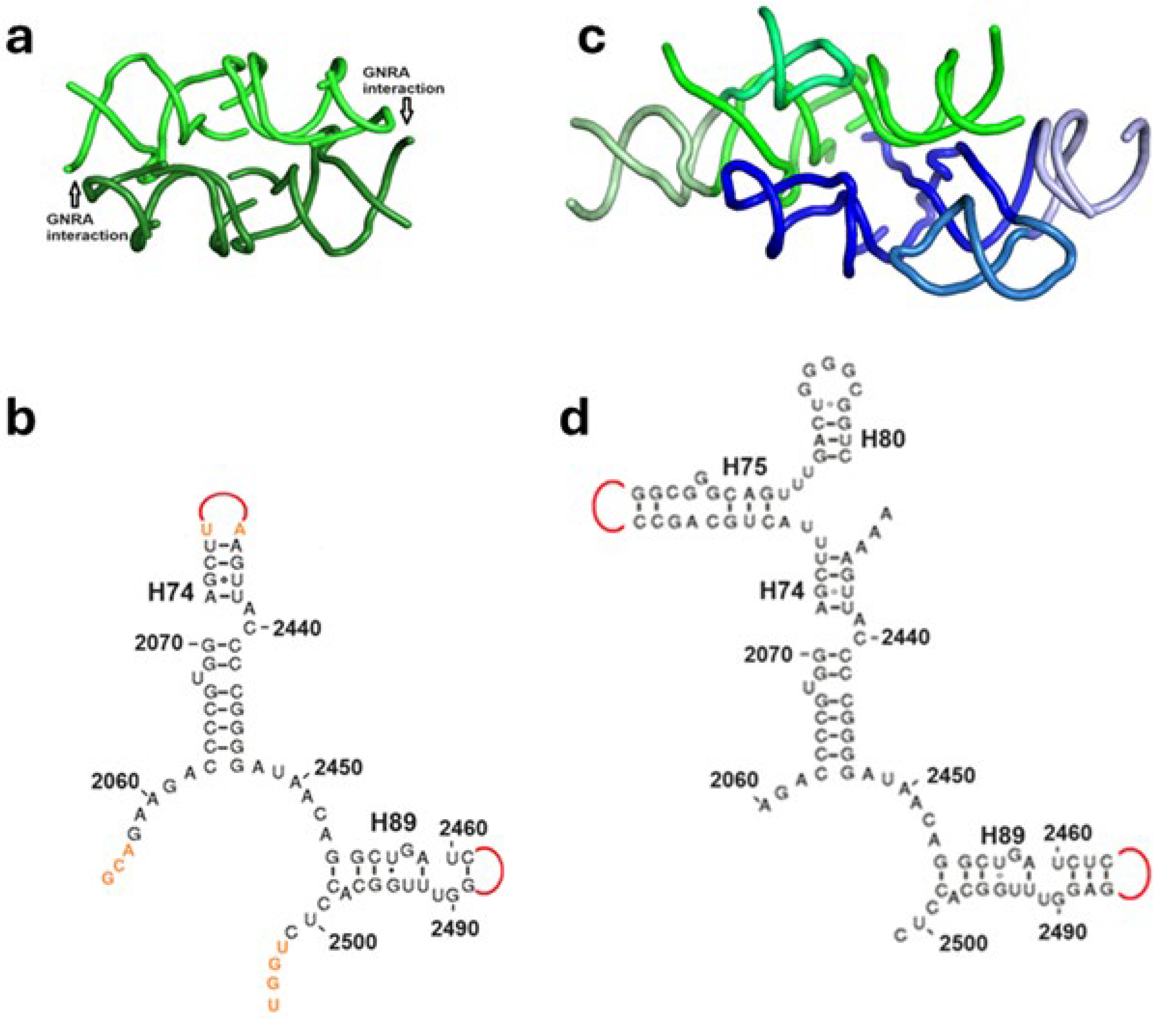 Ijms 25 04960 g002 Ijms 25 04960 g002