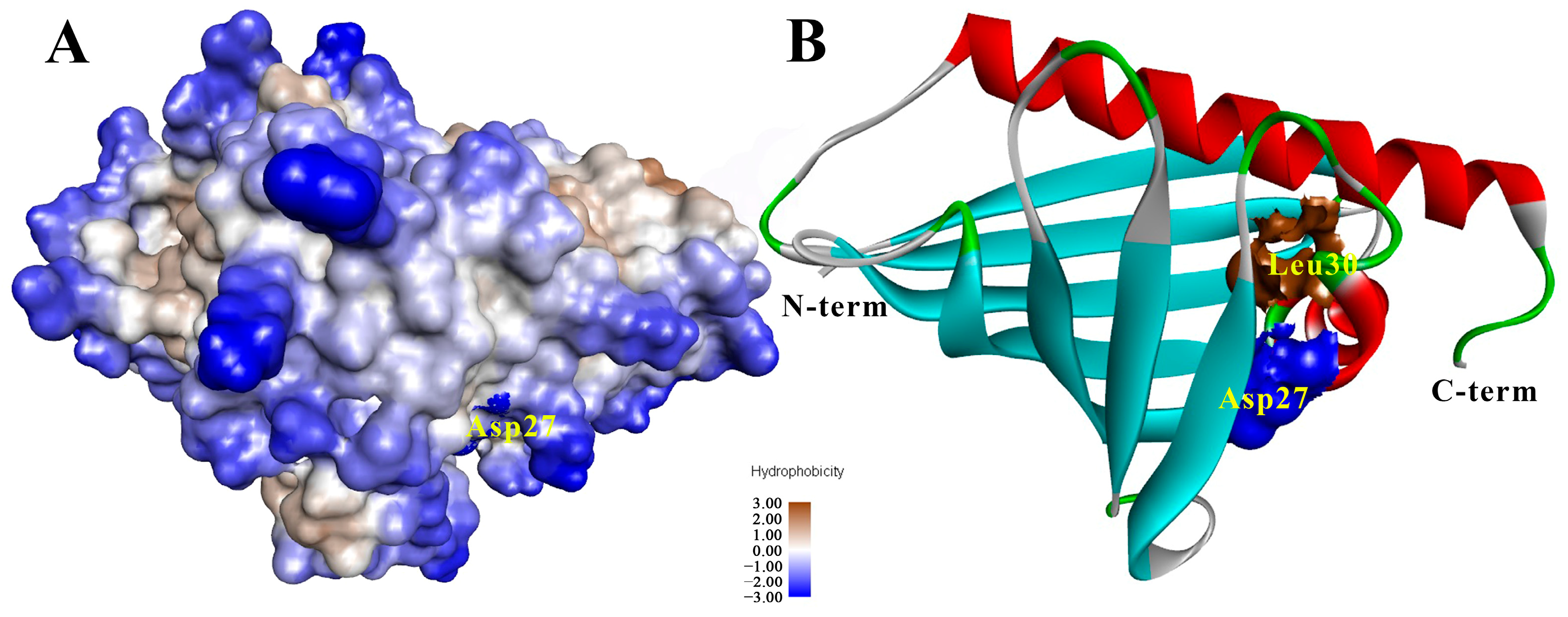 Ijms 25 04965 g006 Ijms 25 04965 g006