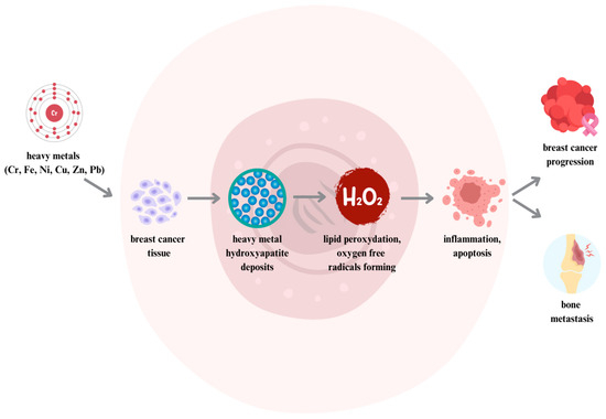 Micronutrient Status and Breast Cancer: A Narrative Review