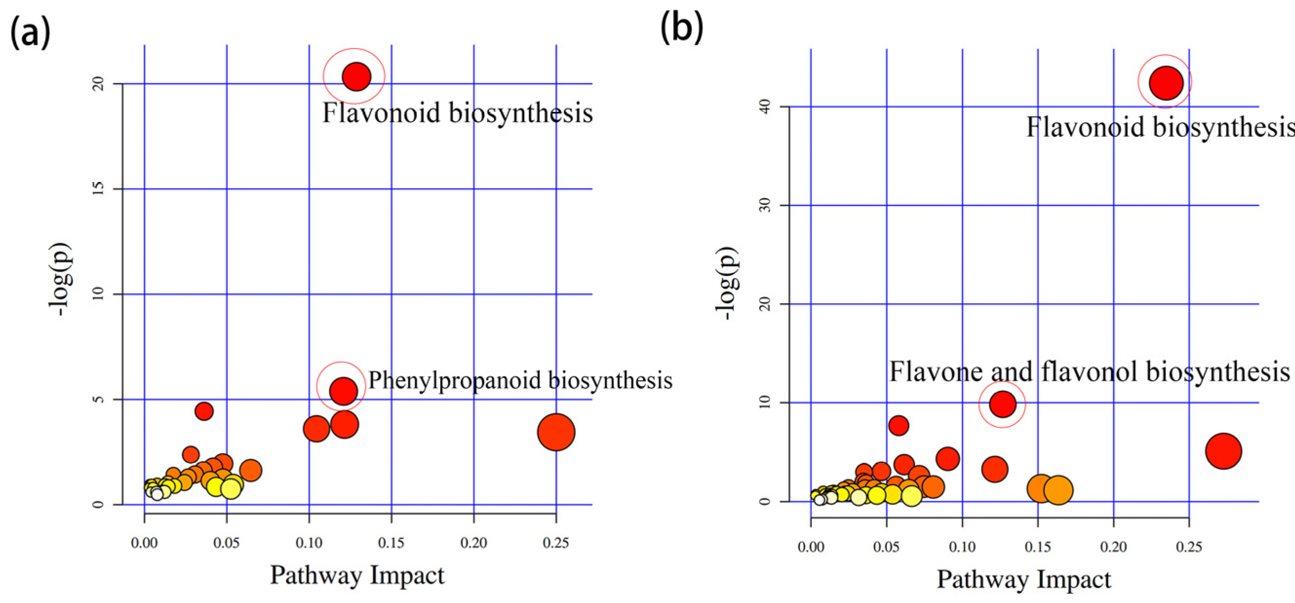 Ijms 25 04974 g003 Ijms 25 04974 g003