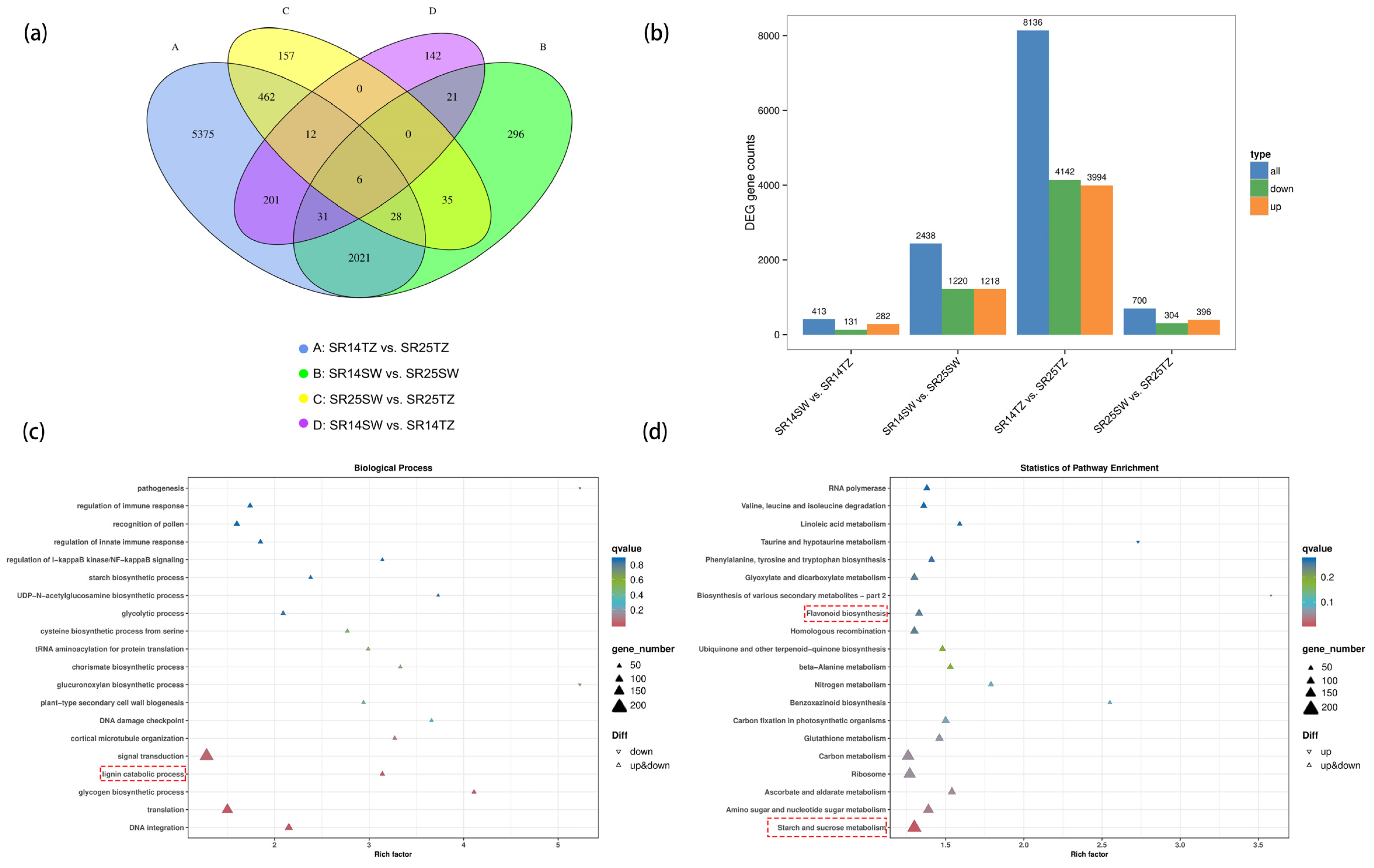 Ijms 25 04974 g005 Ijms 25 04974 g005