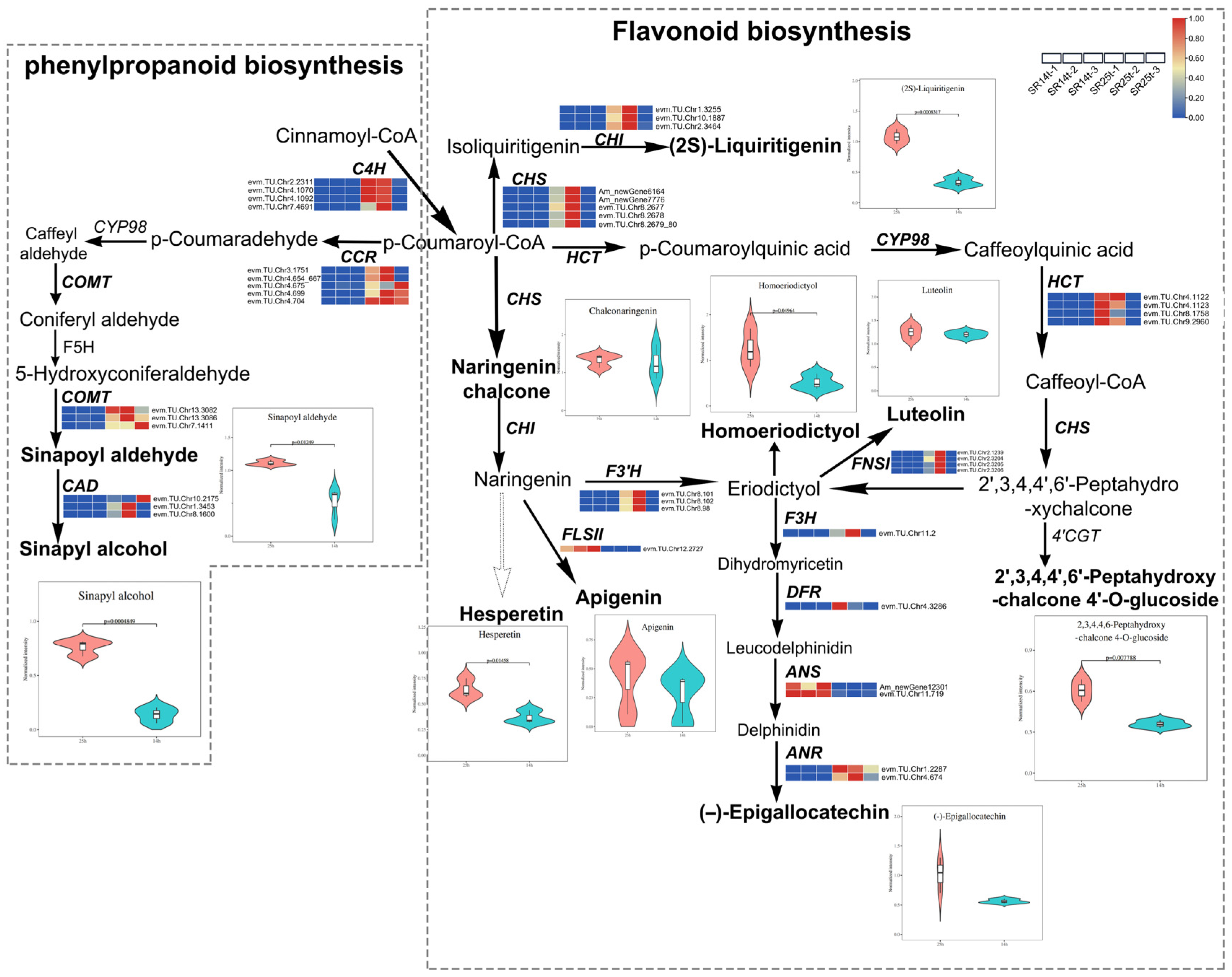 Ijms 25 04974 g006 Ijms 25 04974 g006