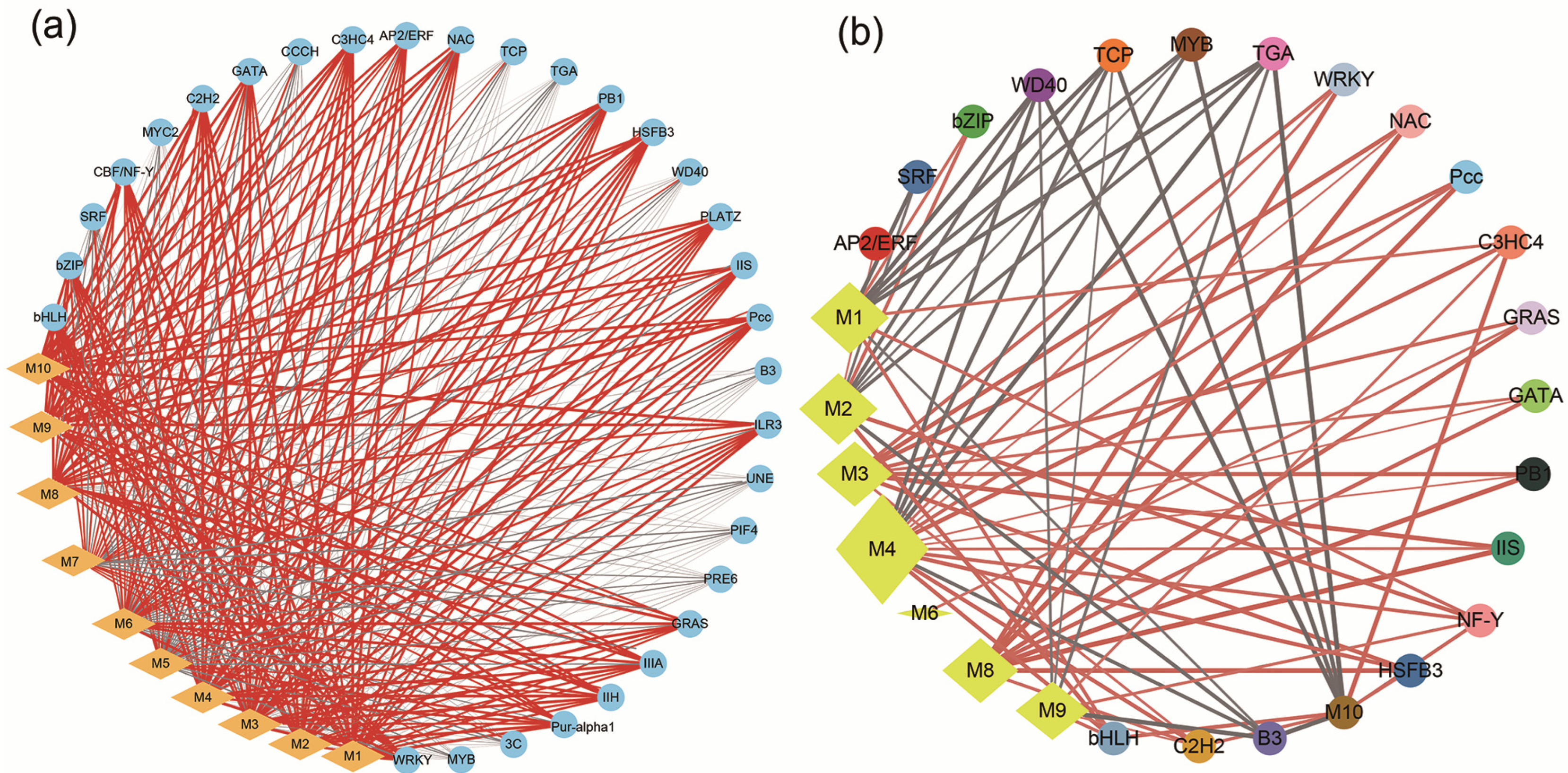 Ijms 25 04974 g007 Ijms 25 04974 g007