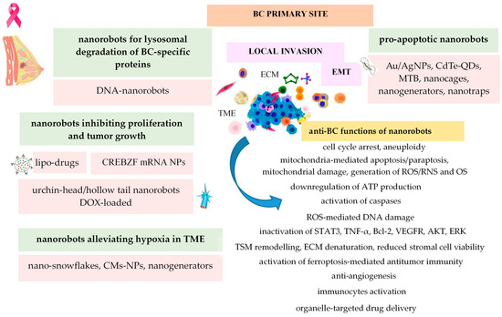 A Nanorobotics-Based Approach of Breast Cancer in the Nanotechnology Era