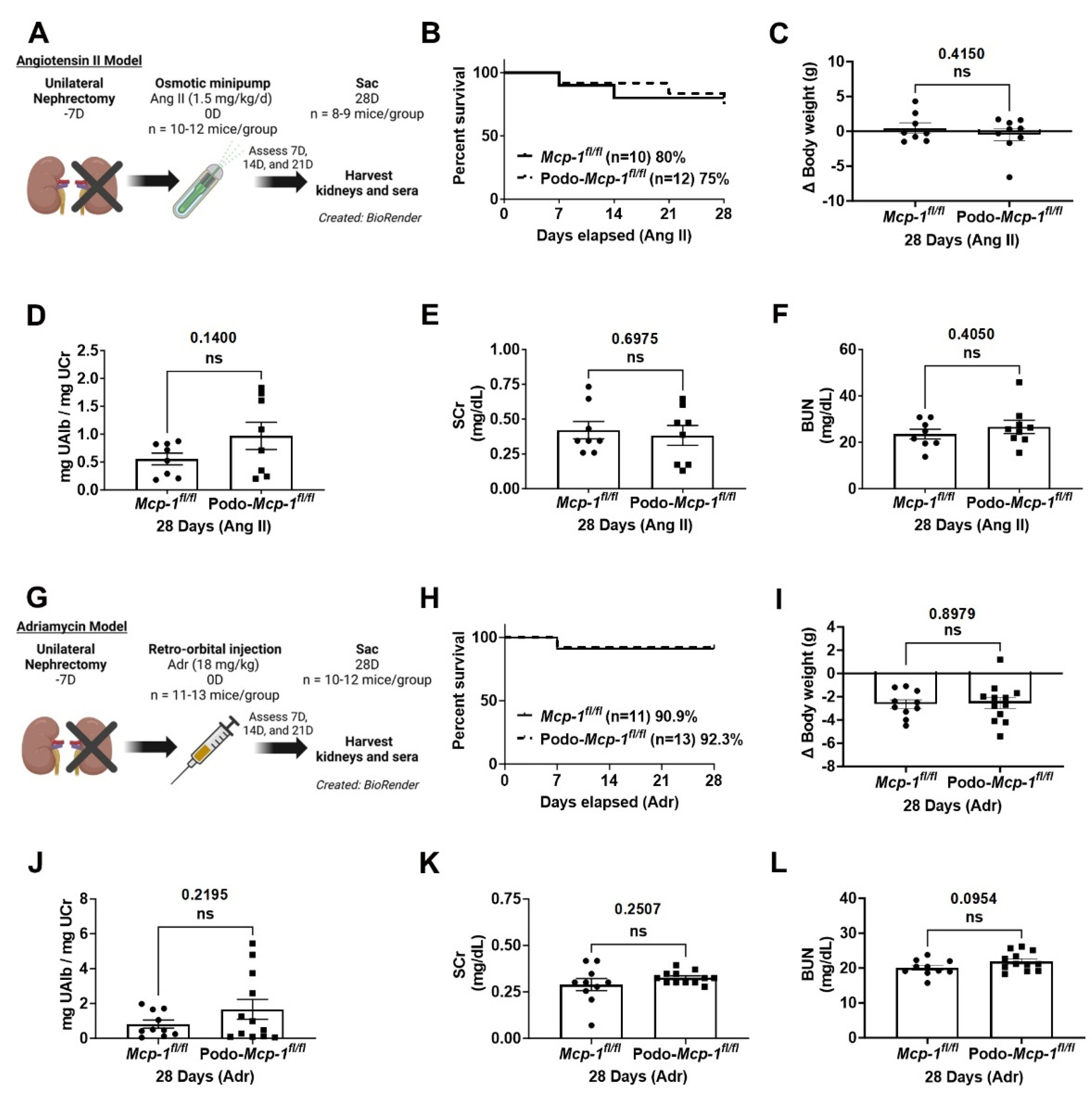 Ijms 25 04987 g003 Ijms 25 04987 g003