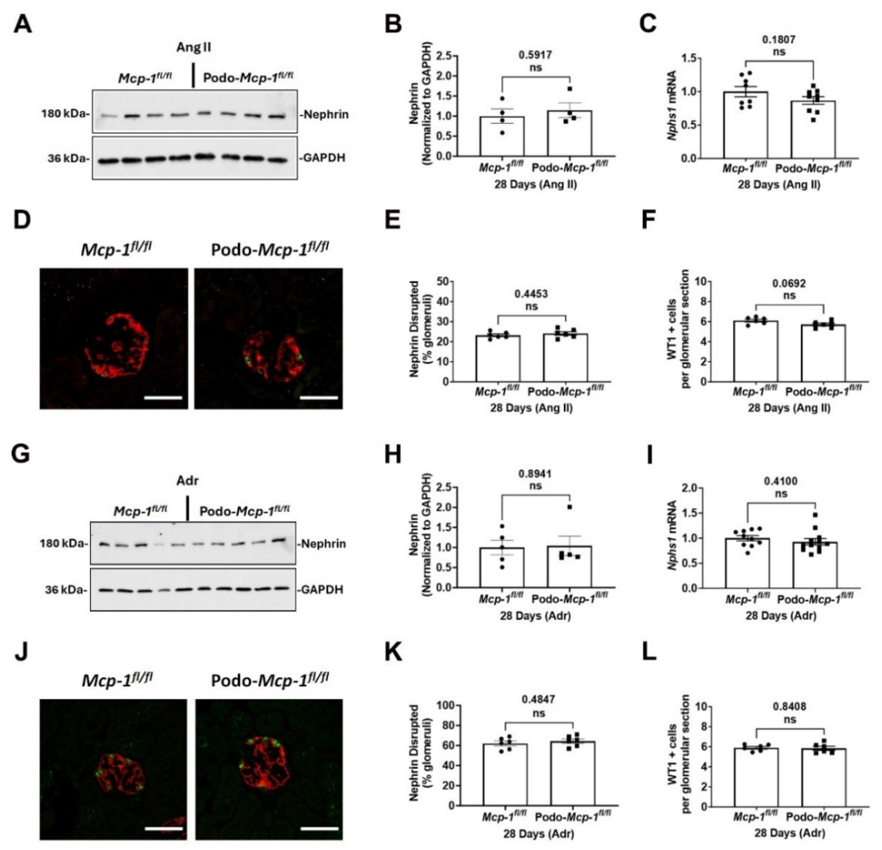 Ijms 25 04987 g004 Ijms 25 04987 g004