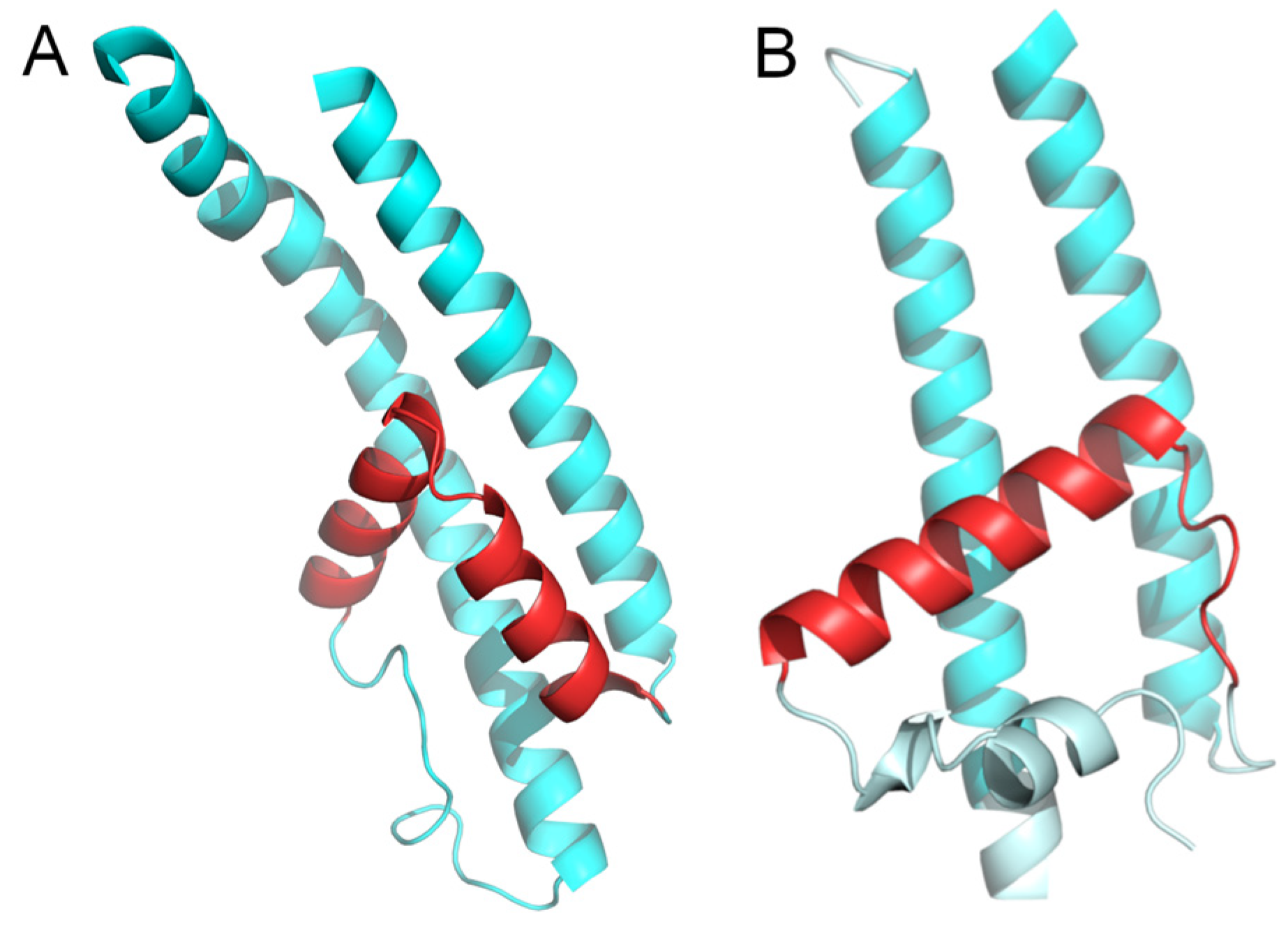 Ijms 25 05005 g004 Ijms 25 05005 g004