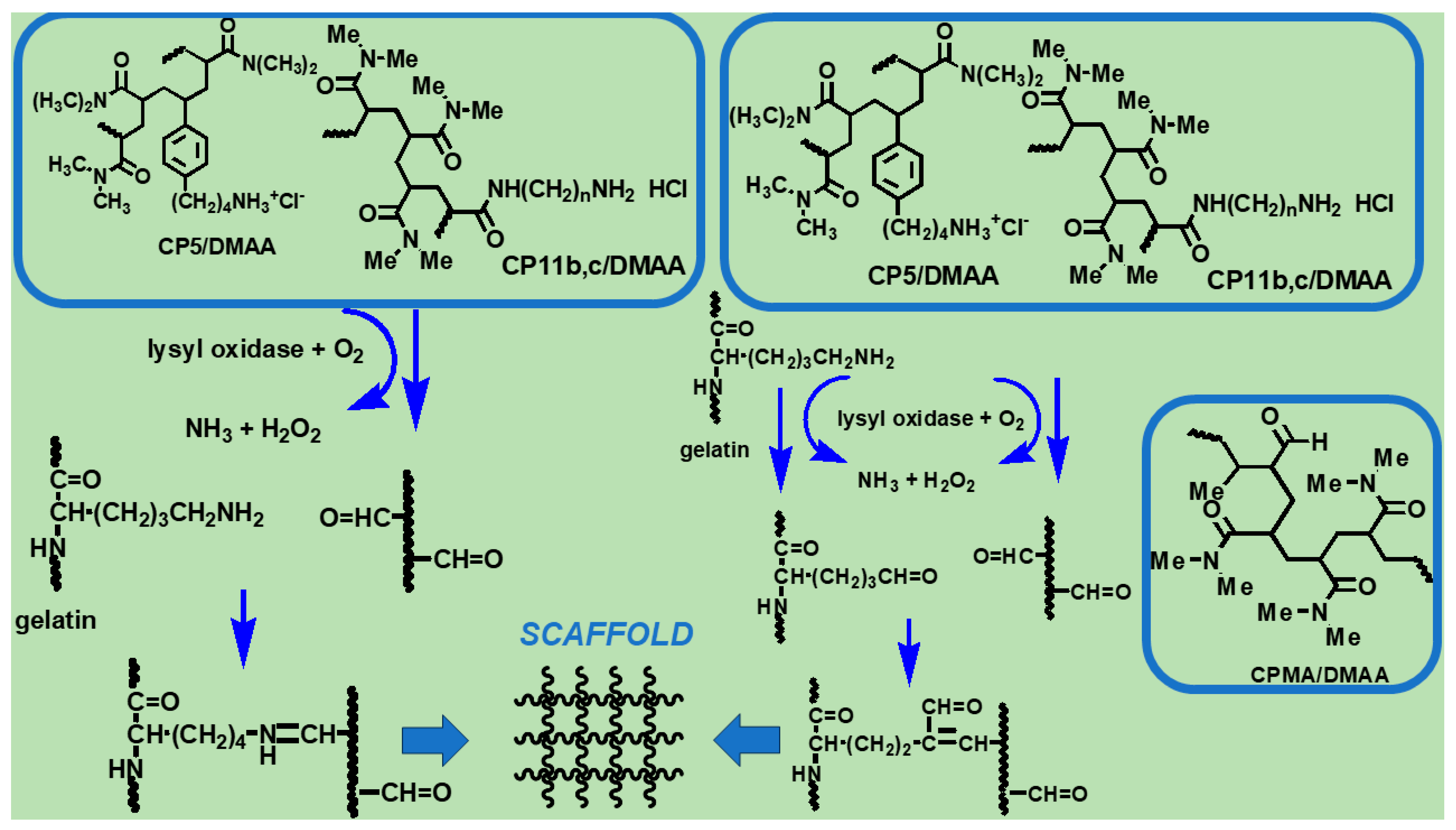 Ijms 25 05009 sch001