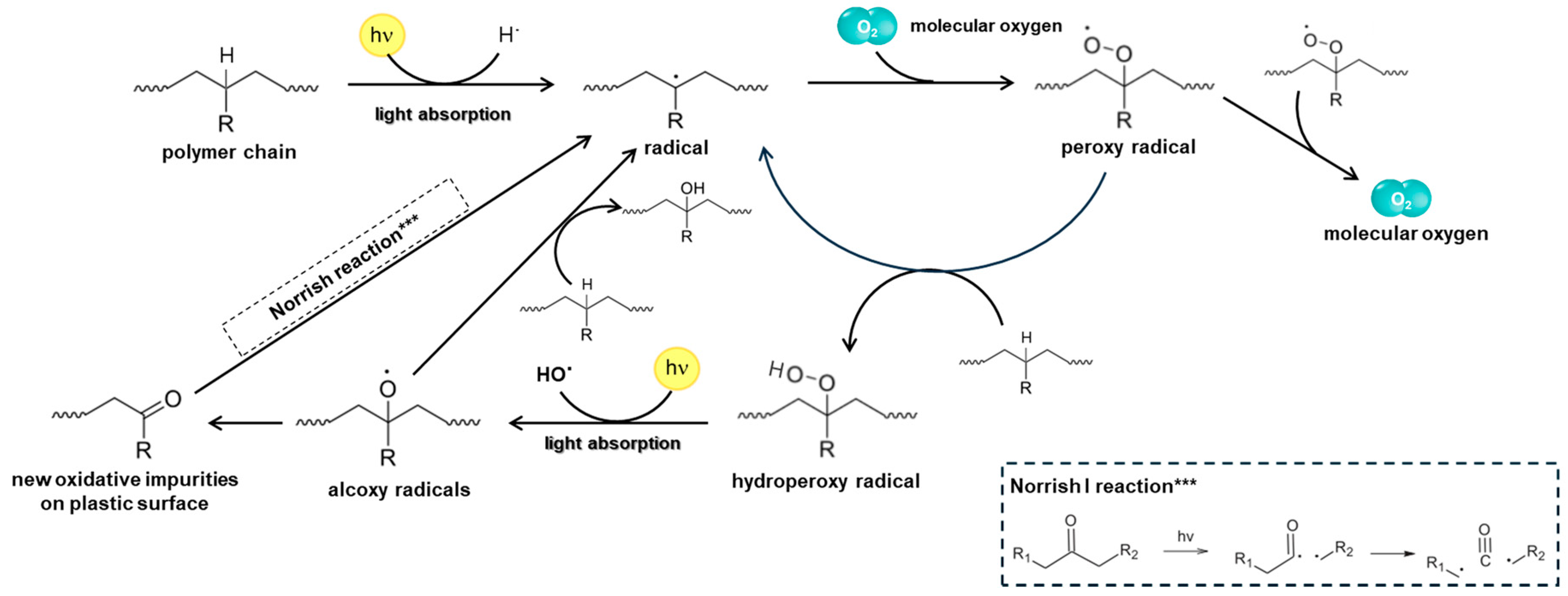 Ijms 25 05060 sch001