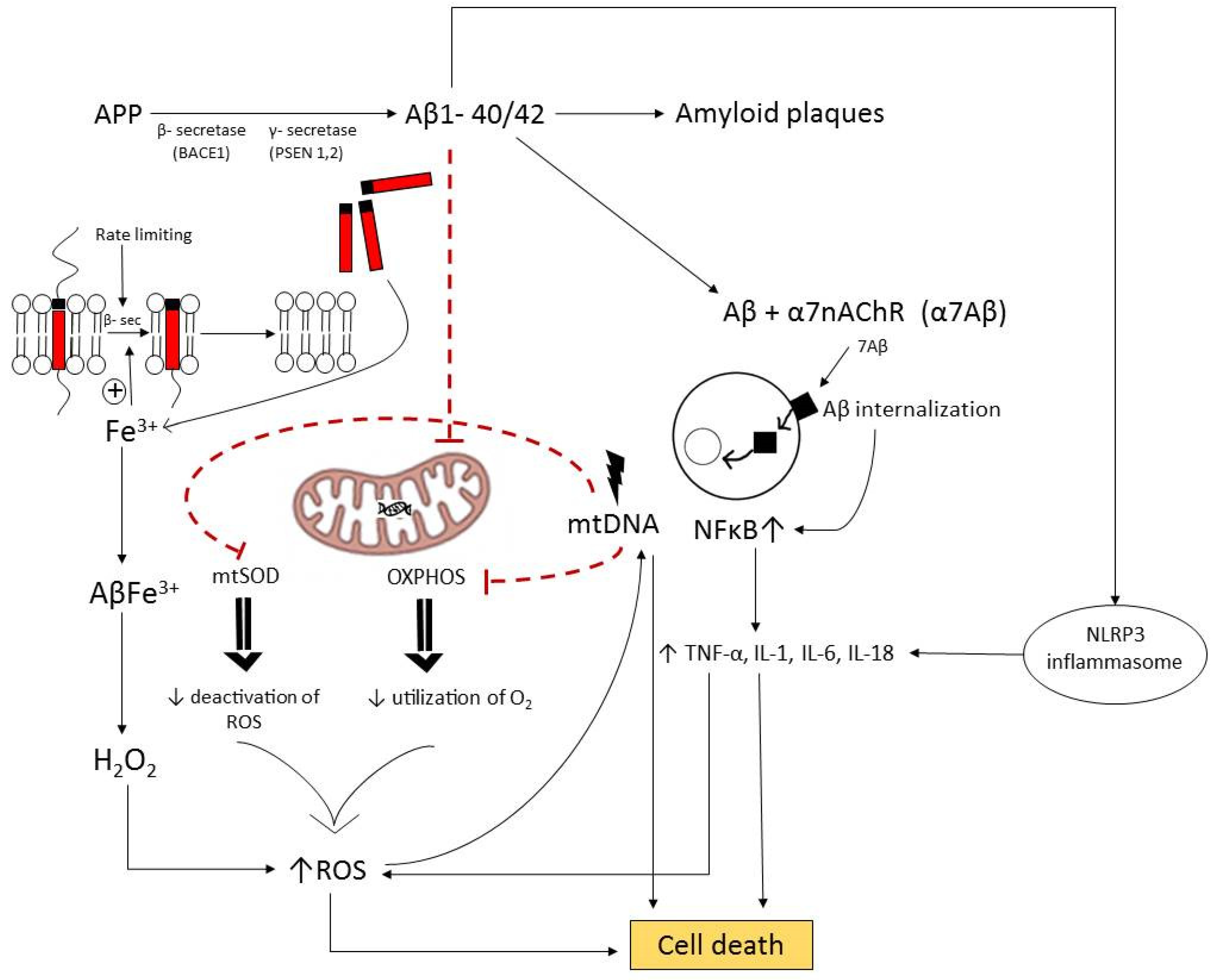 Ijms 25 05122 sch001