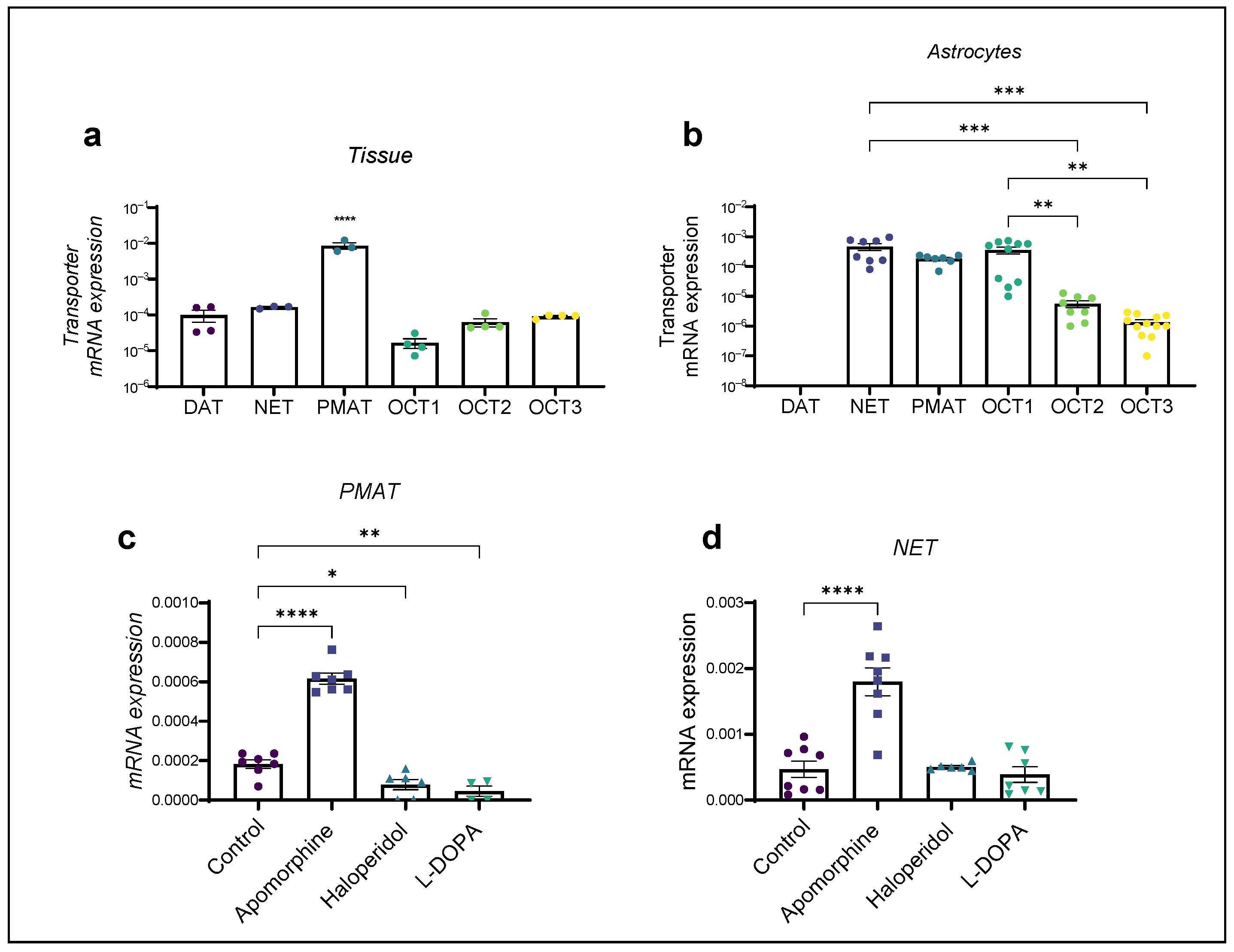 Ijms 25 05135 g003 Ijms 25 05135 g003