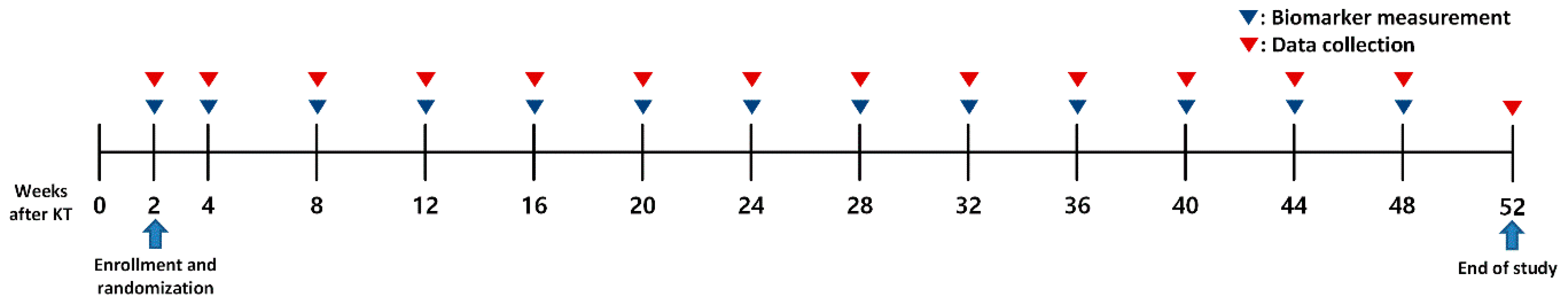 Ijms 25 05139 g006 Ijms 25 05139 g006