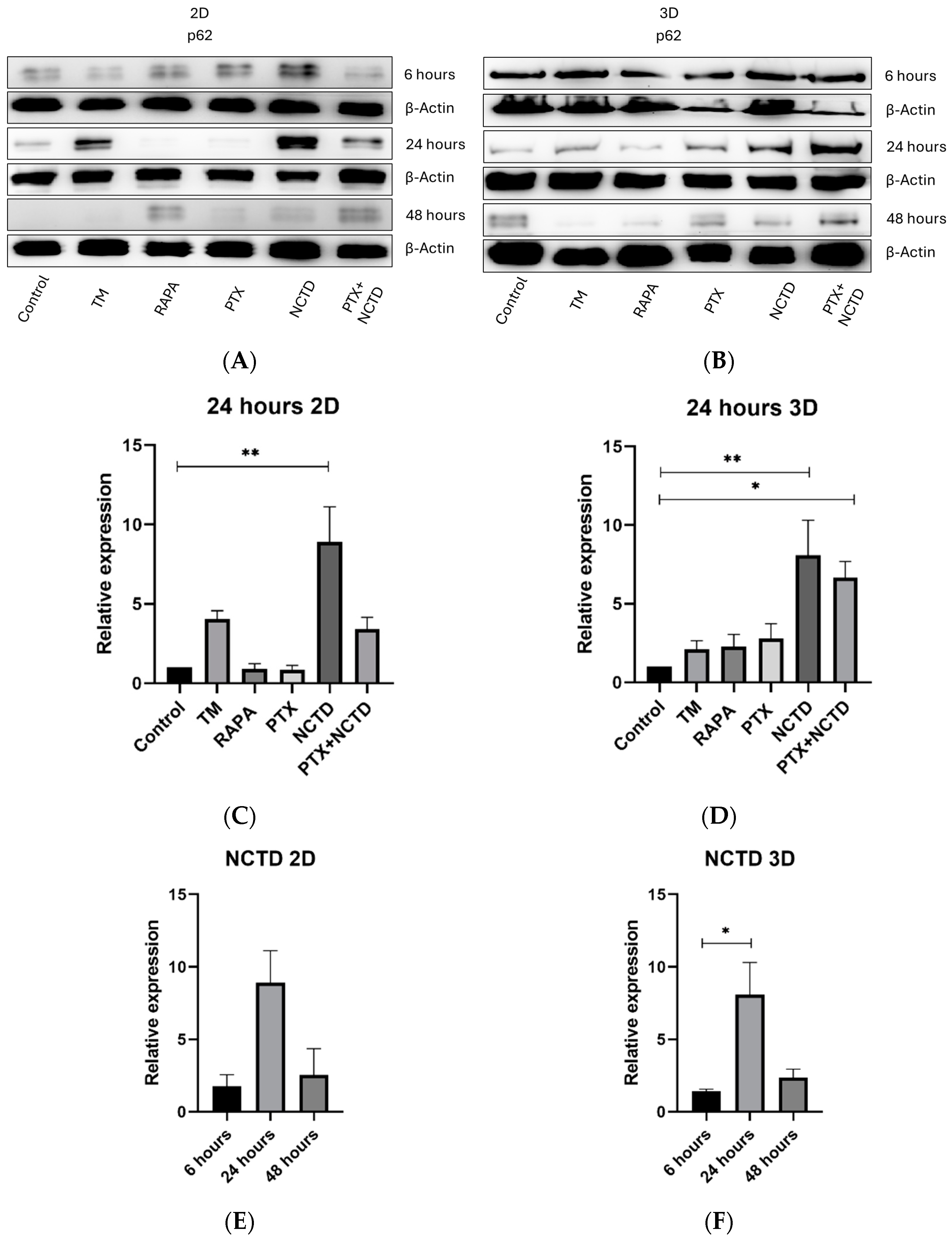 Ijms 25 05140 g003 Ijms 25 05140 g003